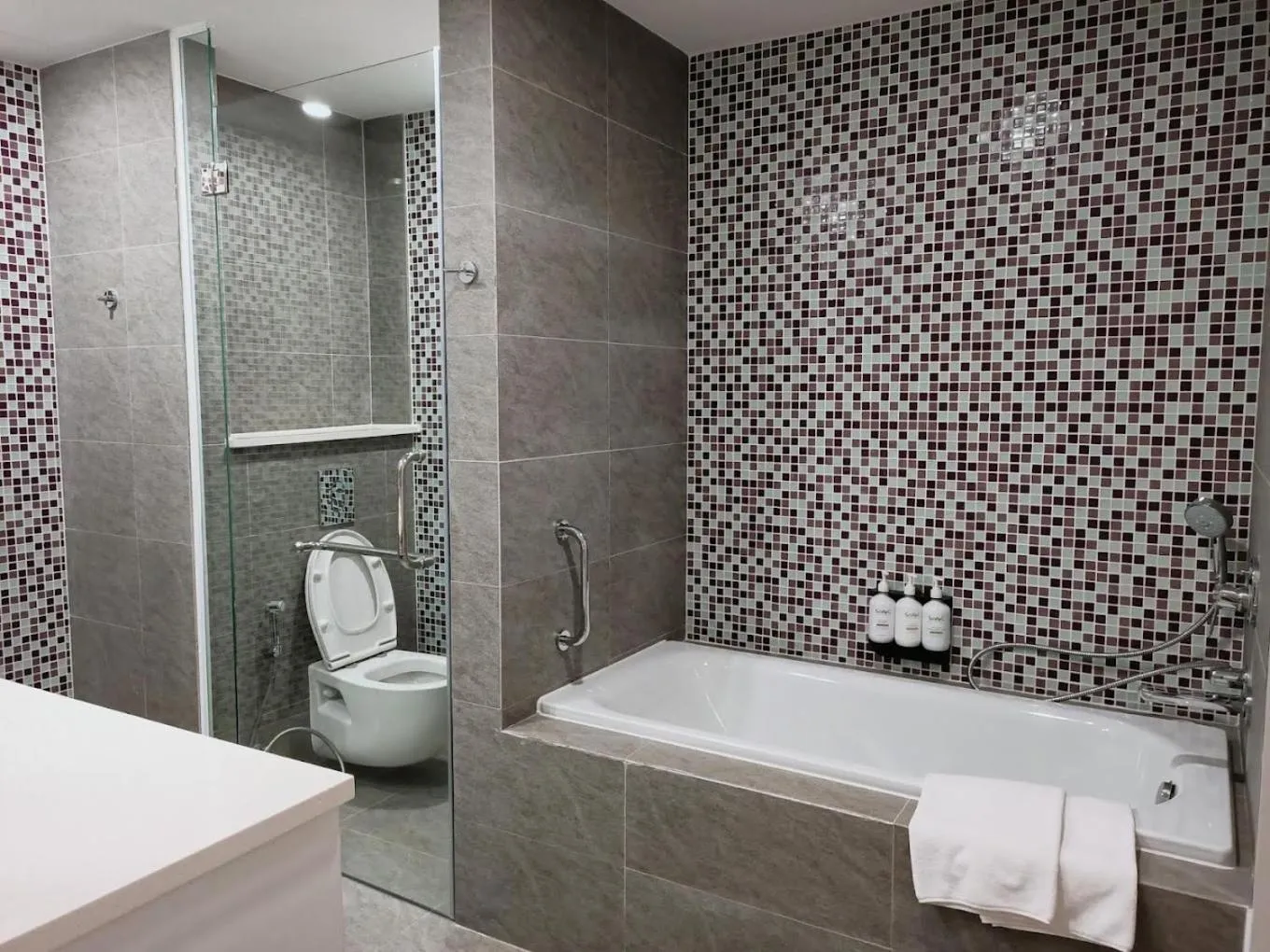 Republic Plaza Apartments Saigon Airport