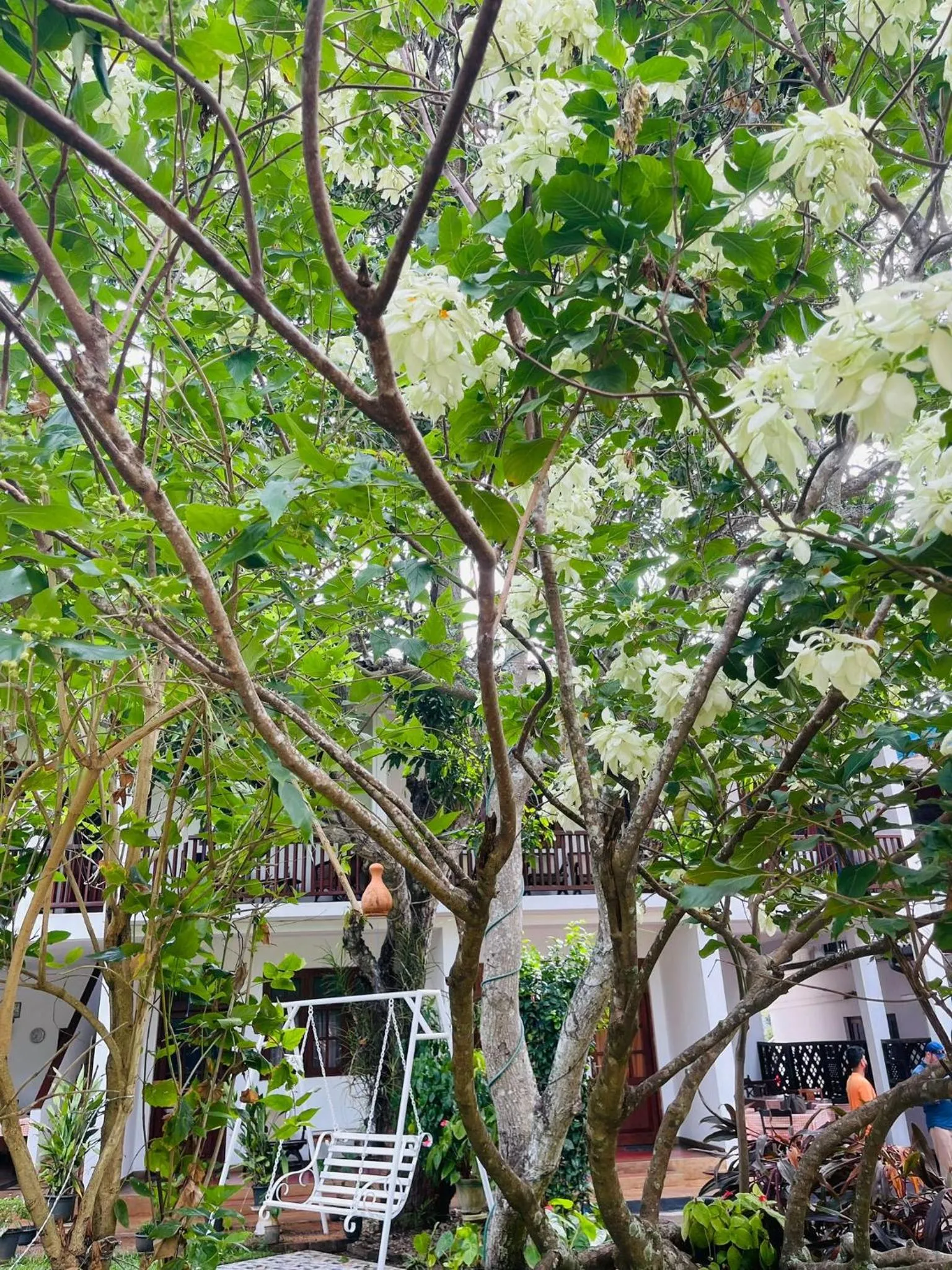 Little Paradise Tourist Guest House and Holiday Home