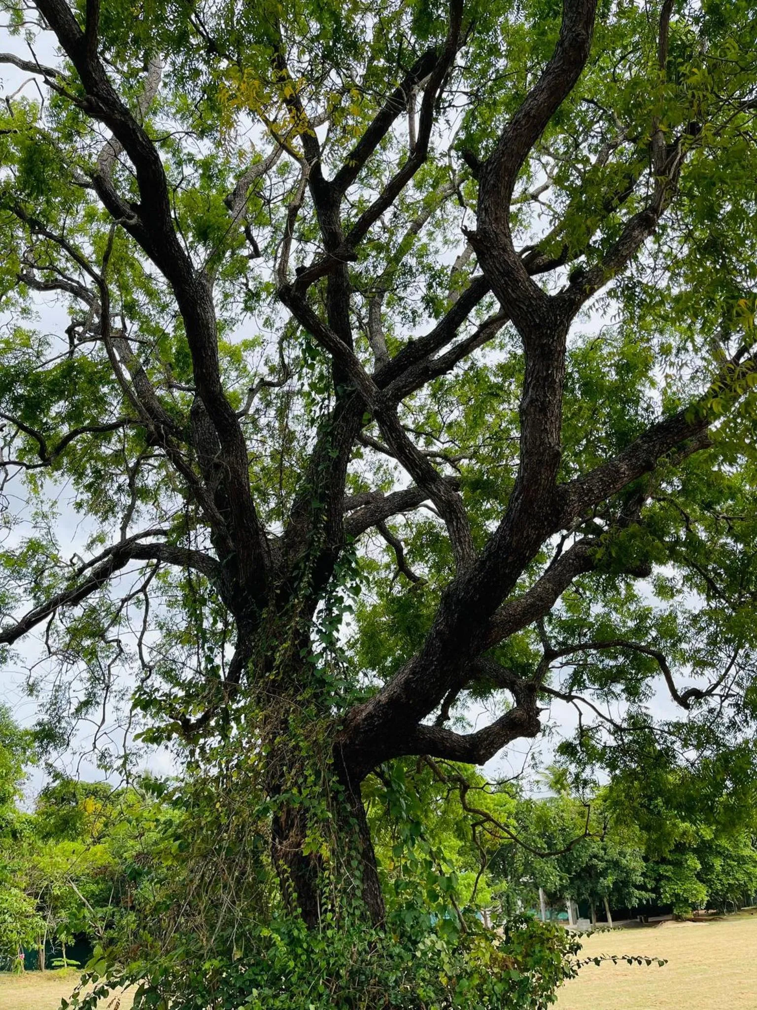 Natural landscape in Little Paradise Tourist Guest House and Holiday Home