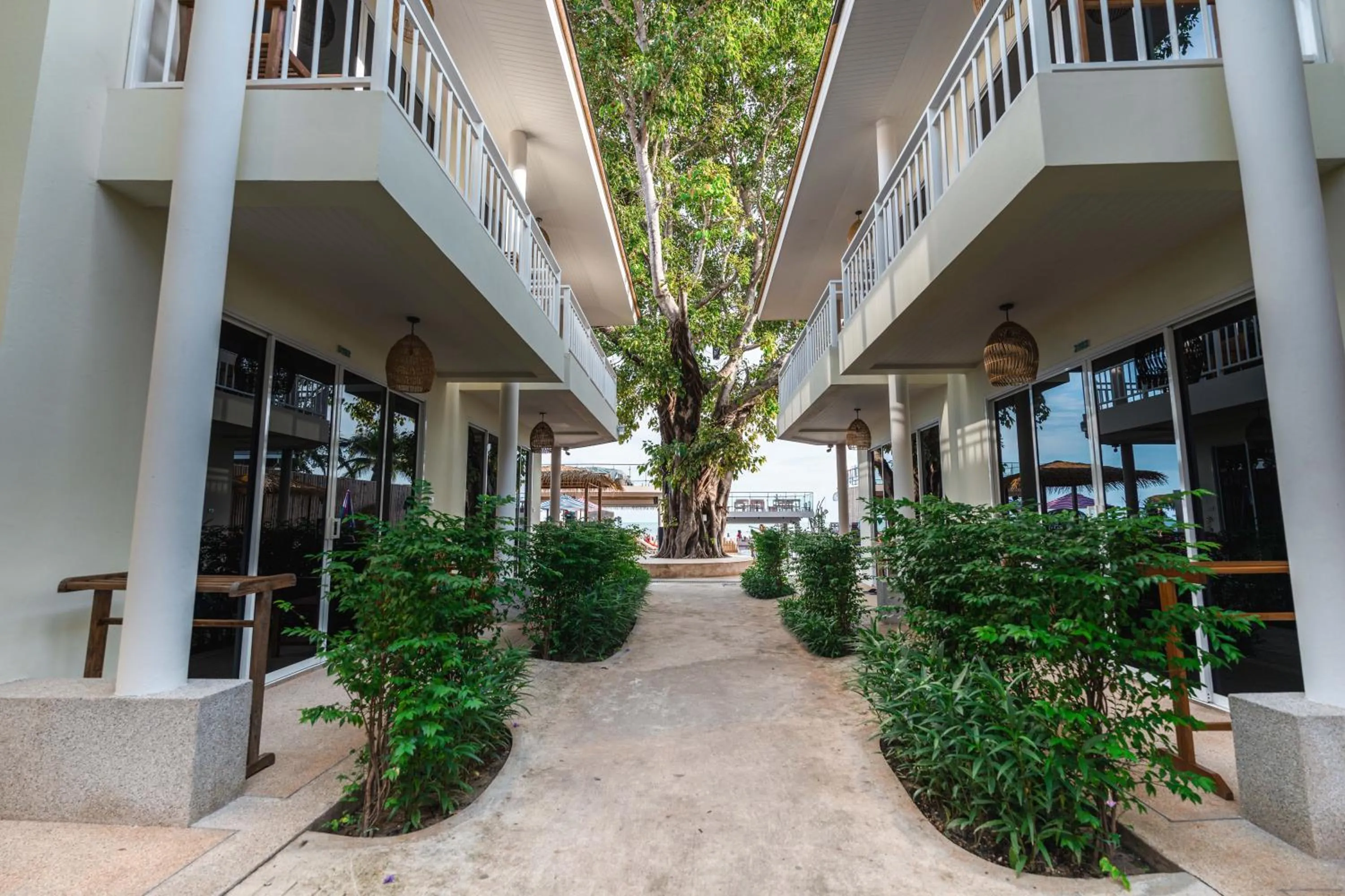 View (from property/room) in LOVE beach club Koh Samui