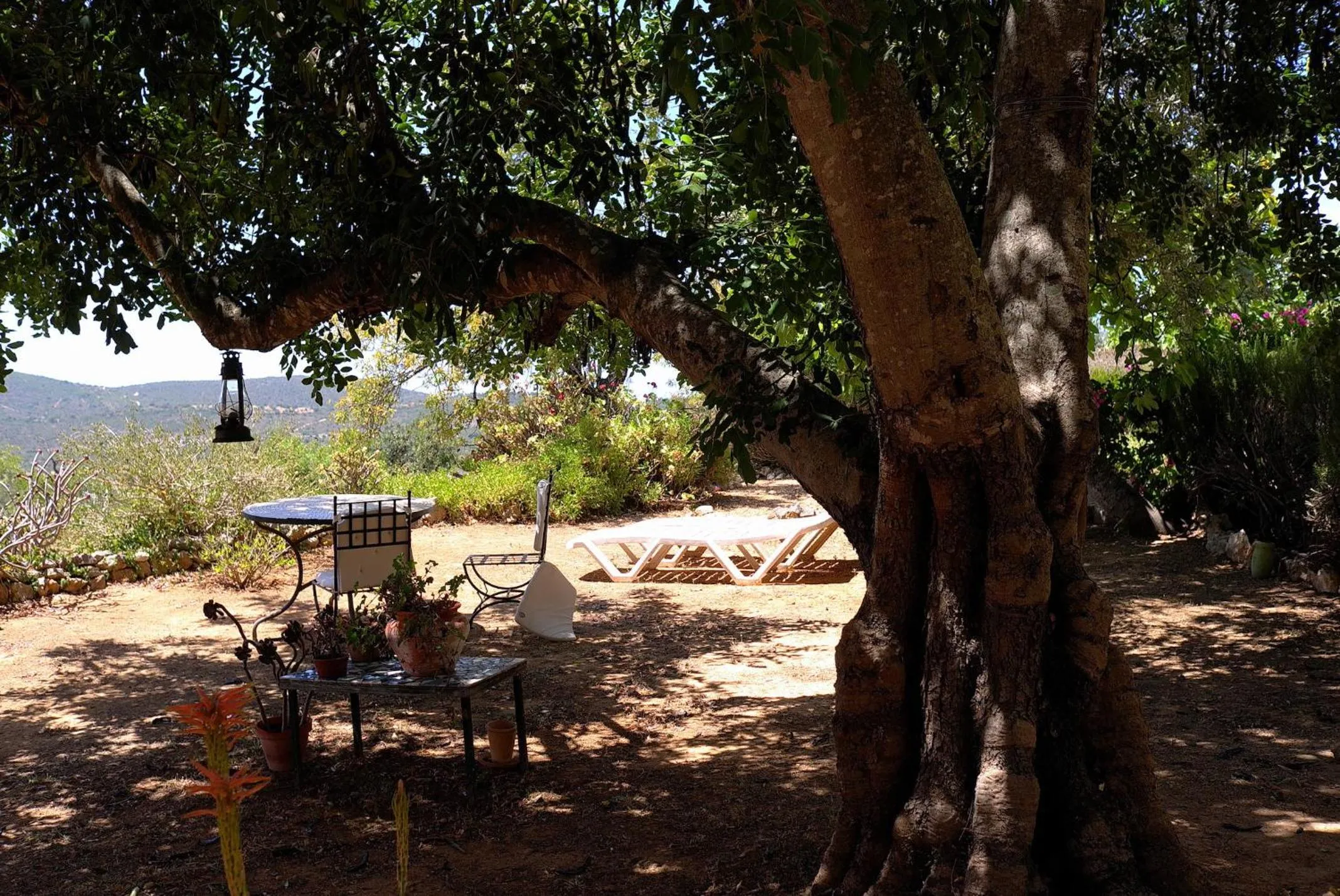 Patio in Quinta Amarela XL by Portucasa