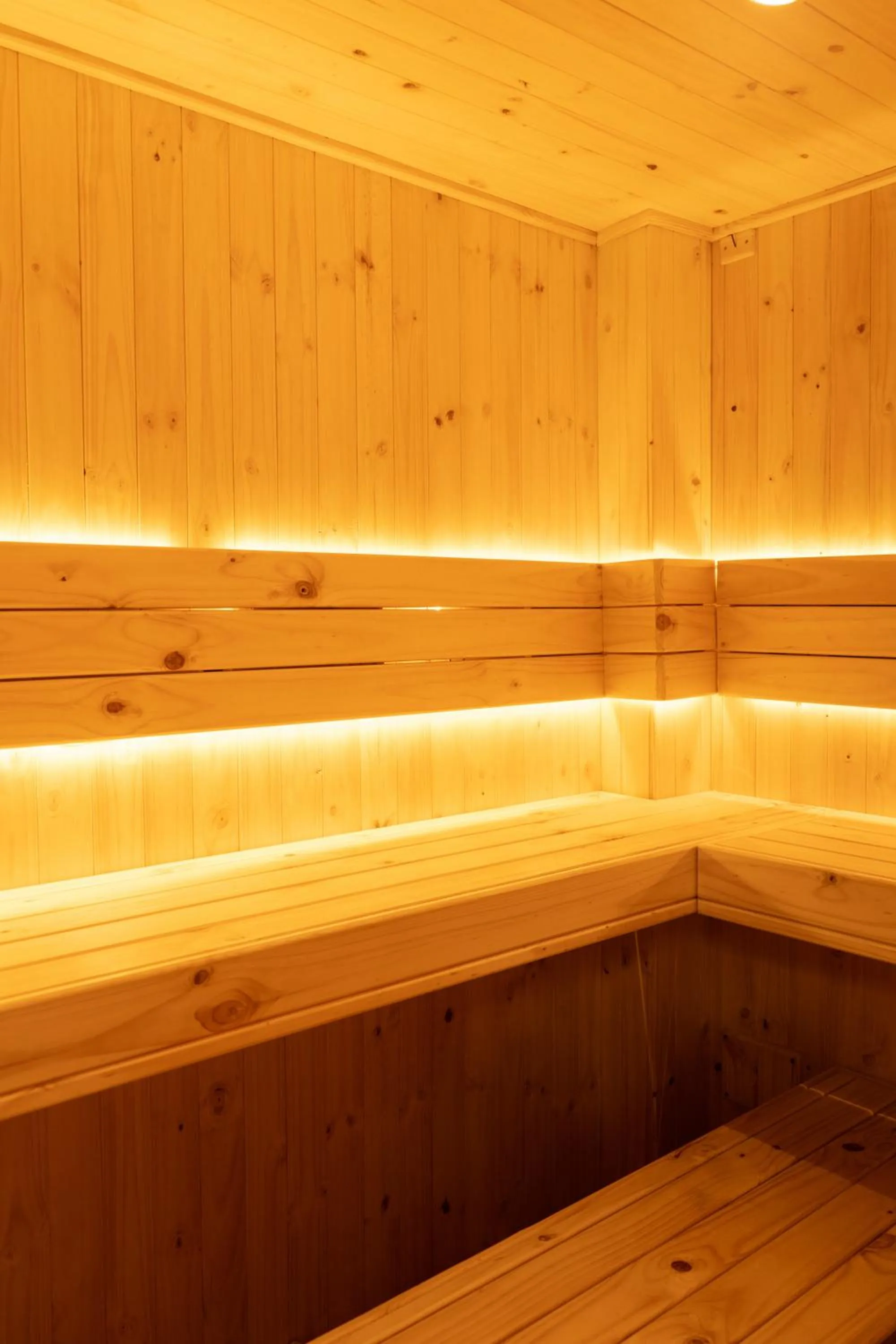 Sauna in Hotel La Corada