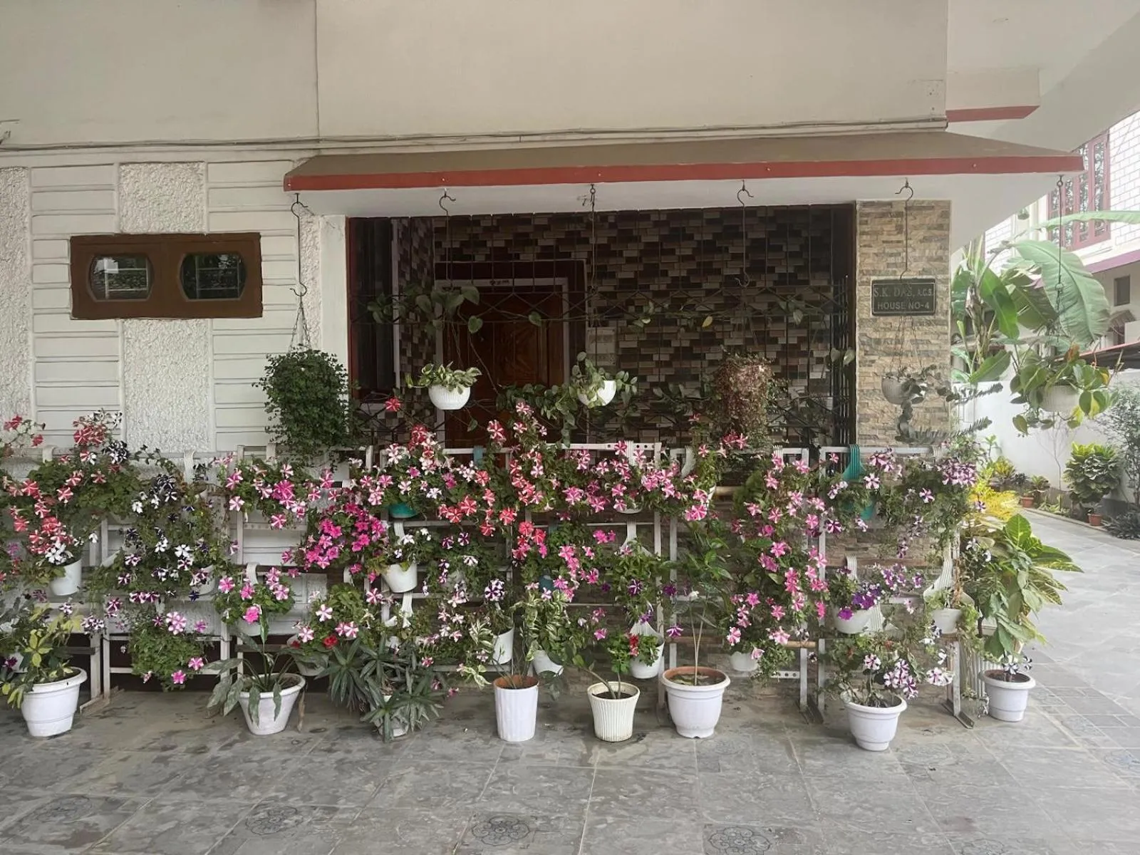 Garden in Amazing Homestay