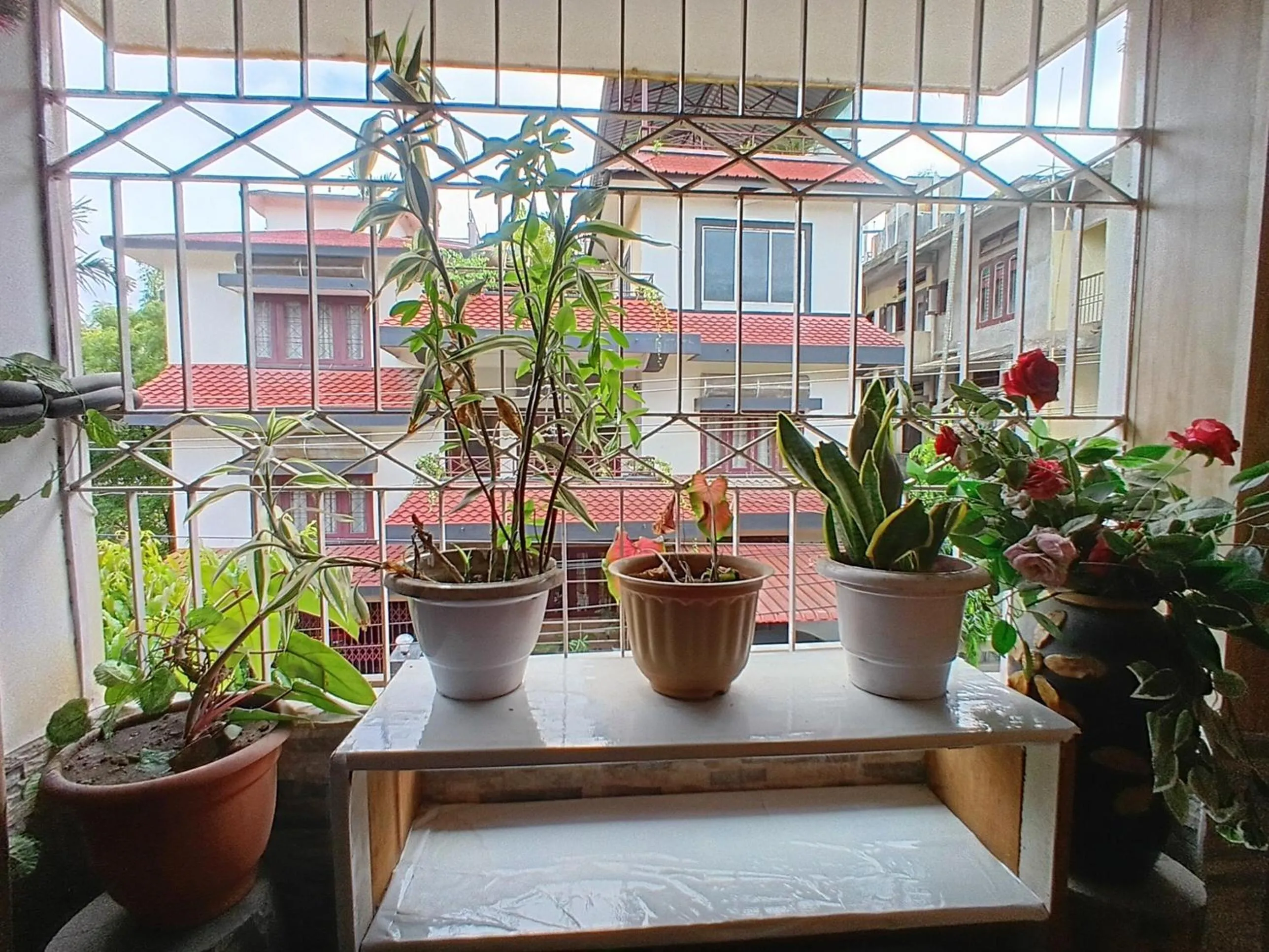 Amazing Homestay