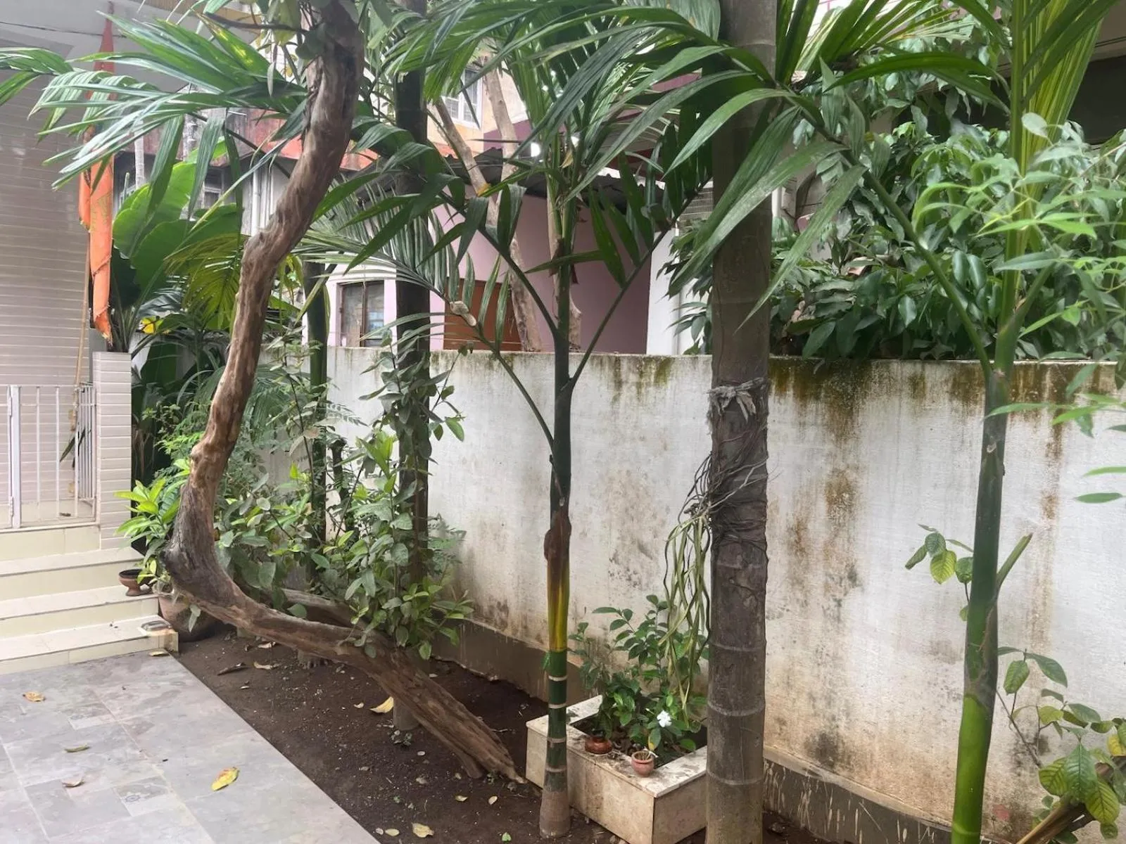 Property building in Amazing Homestay