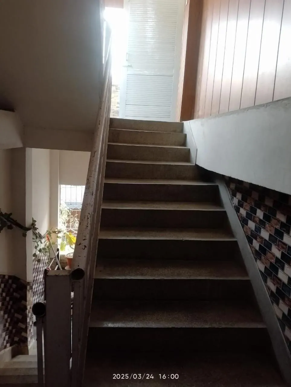 Property building in Amazing Homestay