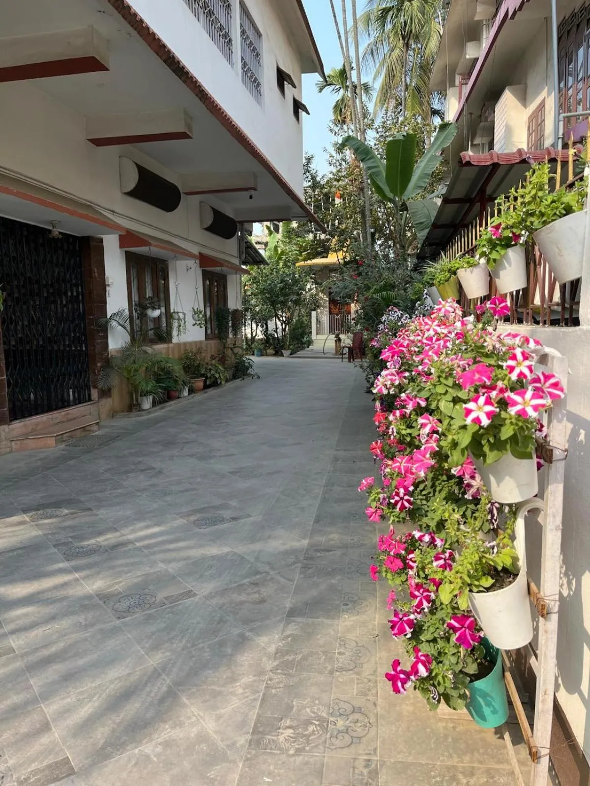 Garden in Amazing Homestay