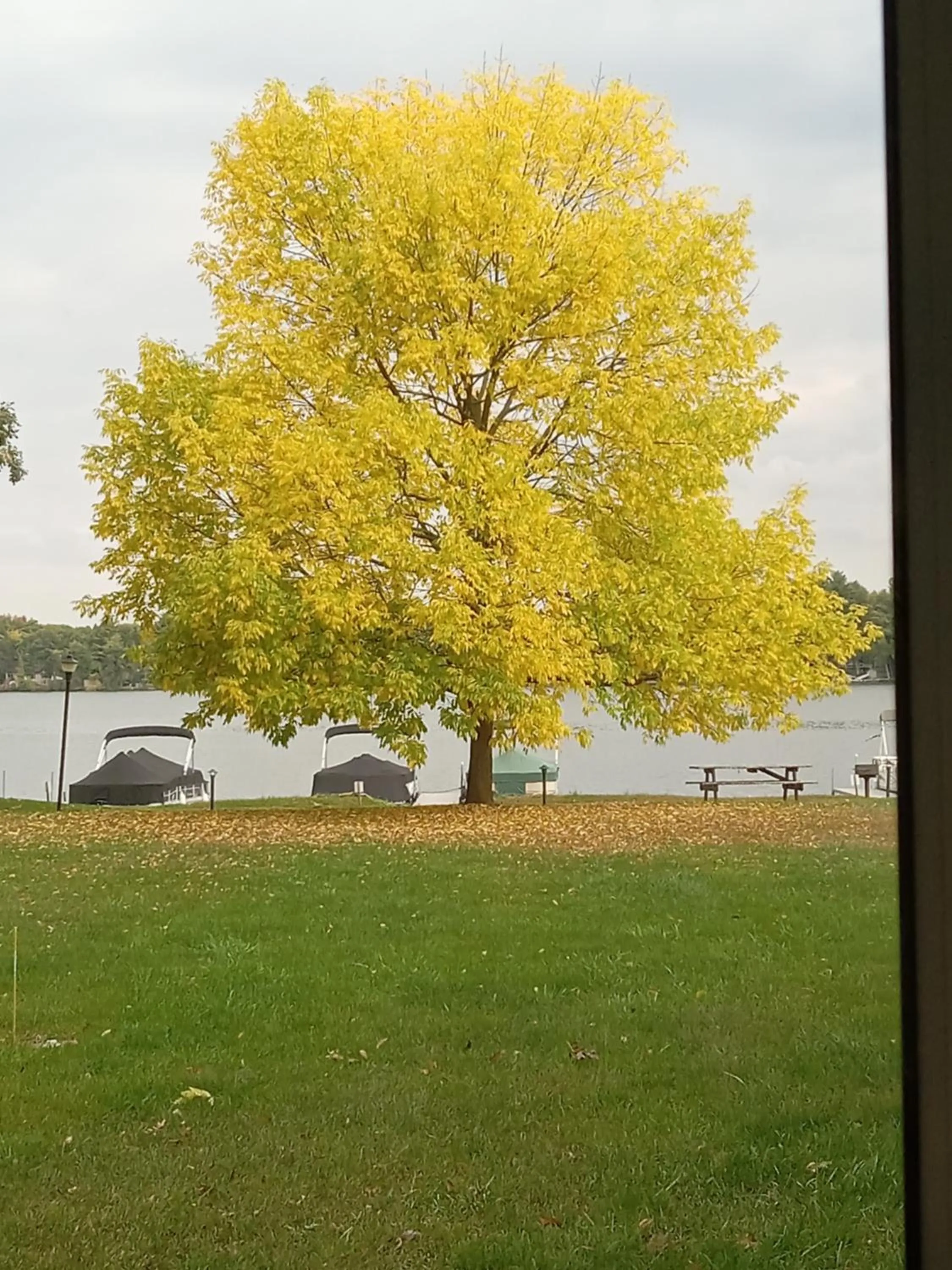 Paradise Shores Hotel