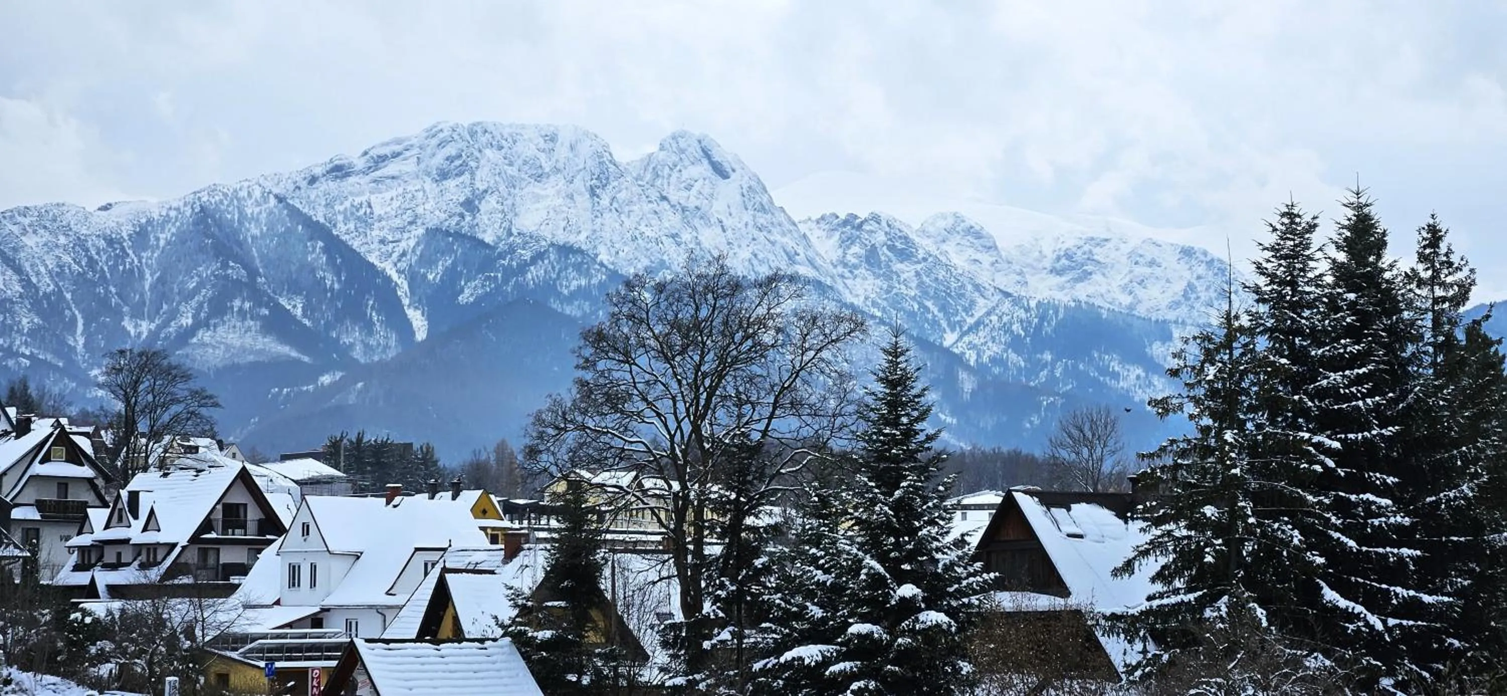 View (from property/room) in VIP Apartamenty Zakopianskie