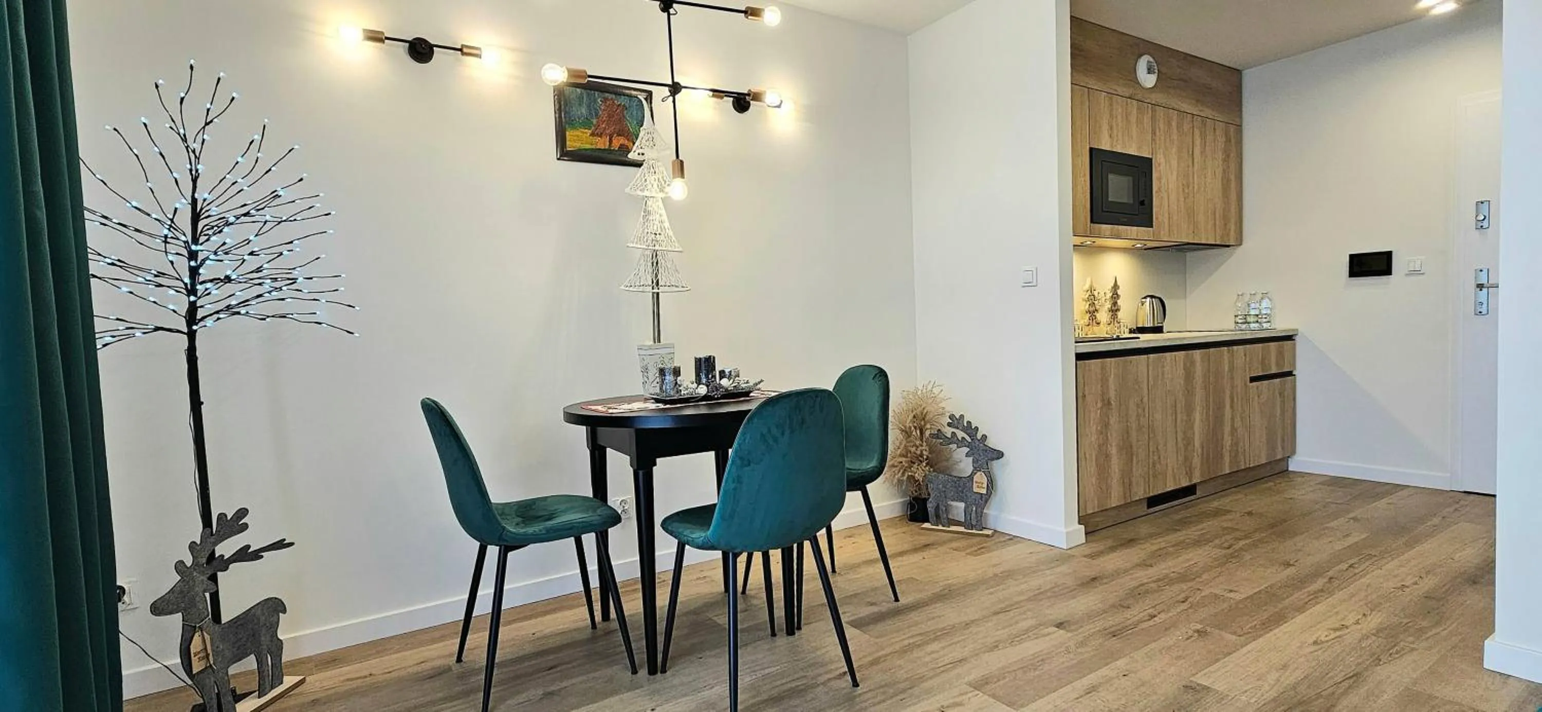 Kitchen or kitchenette in VIP Apartamenty Zakopianskie