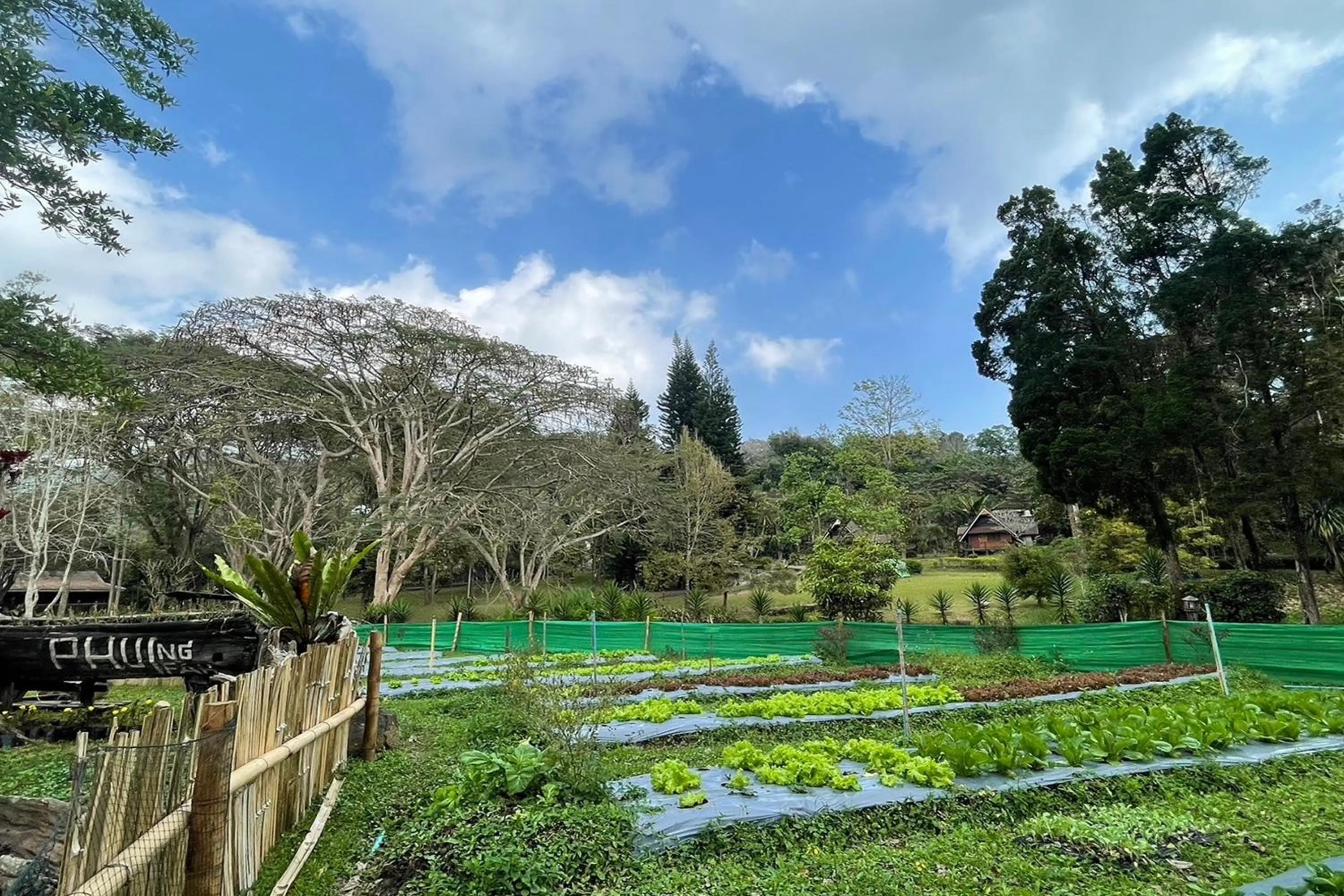 Natural landscape in Phu Ing Fah Resort
