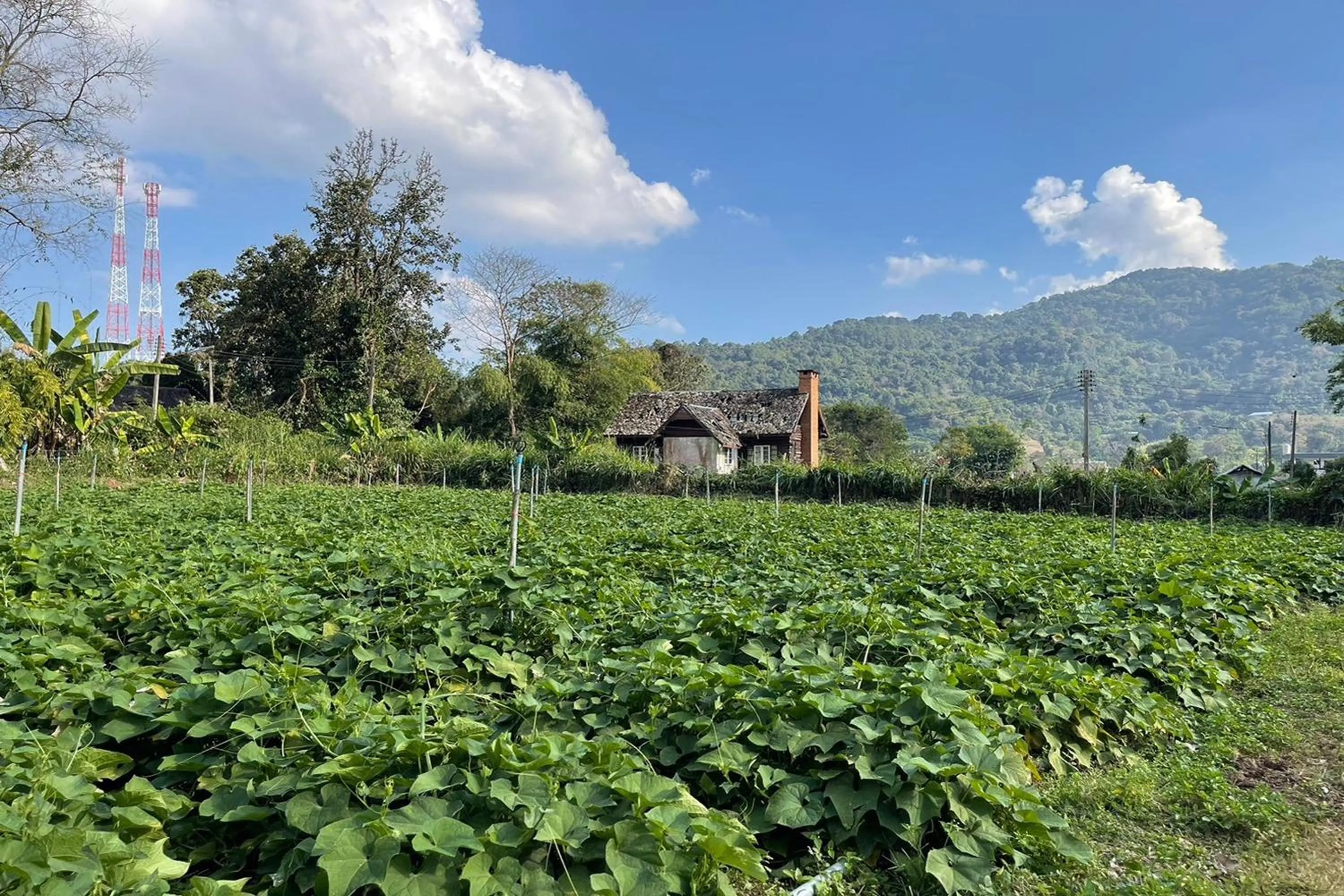 Garden view in Phu Ing Fah Resort