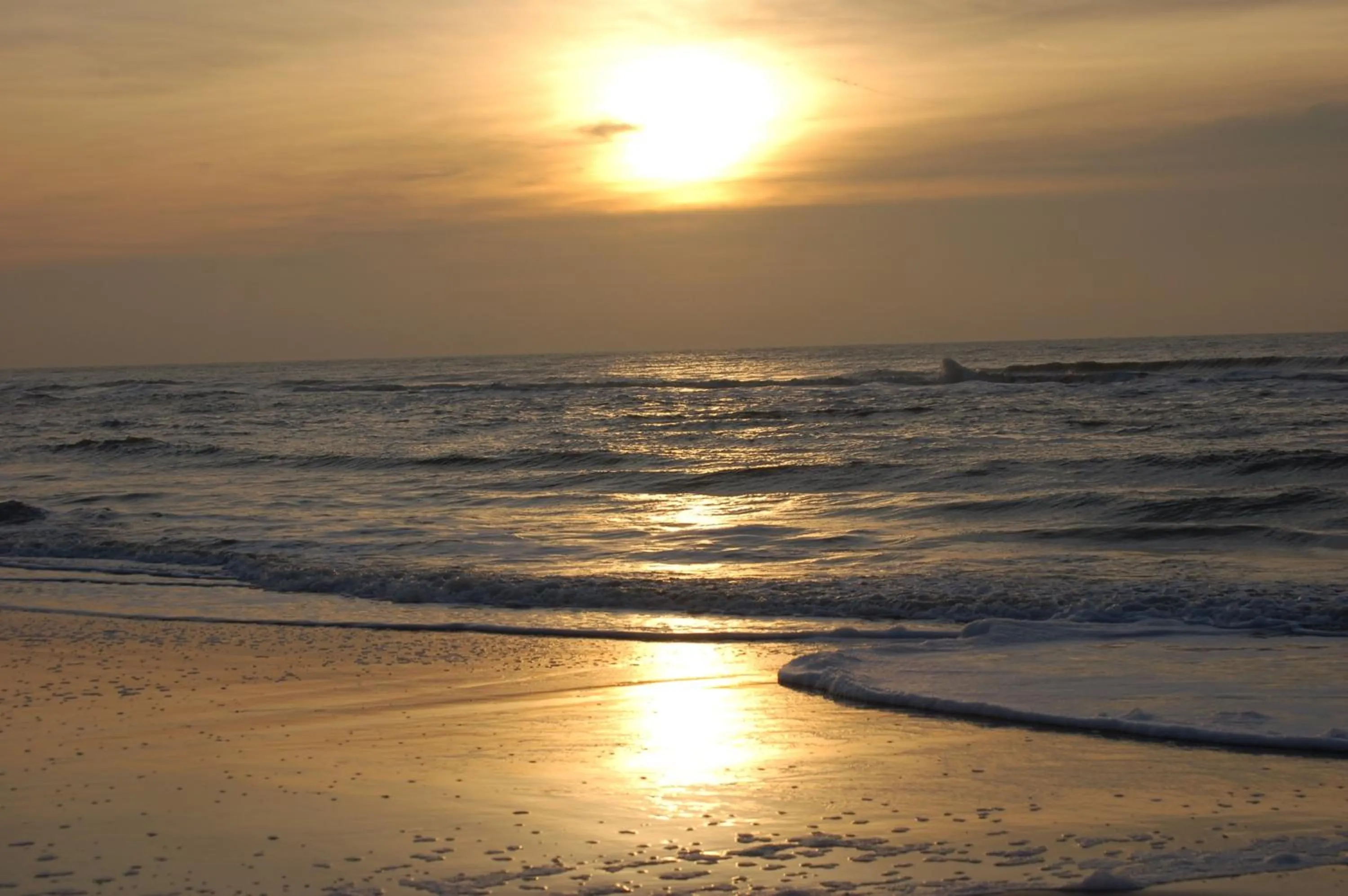 Area and facilities in Van der Valk Hotel Akersloot / A9 ALKMAAR