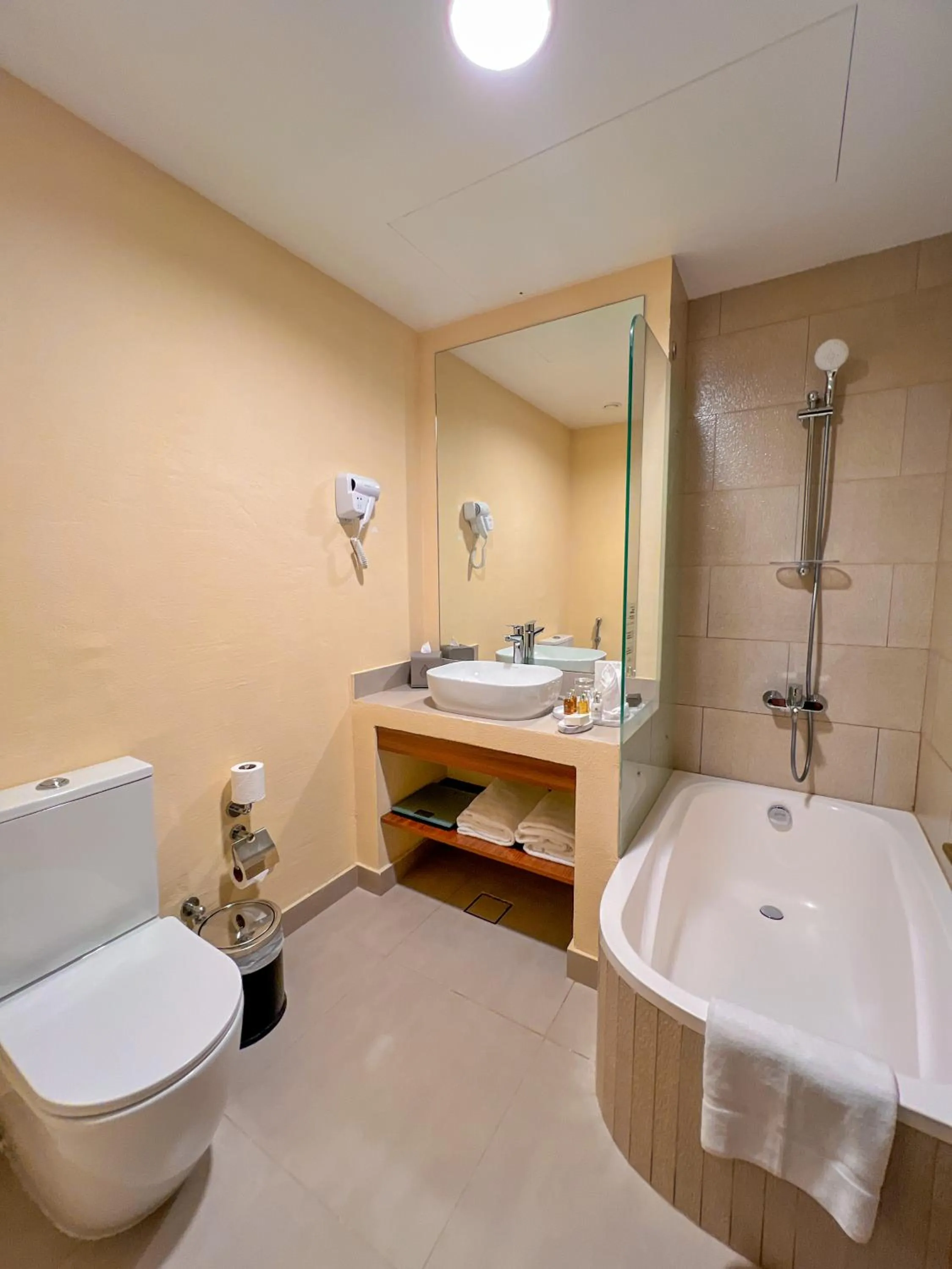 Shower in Western Hotel Liwa