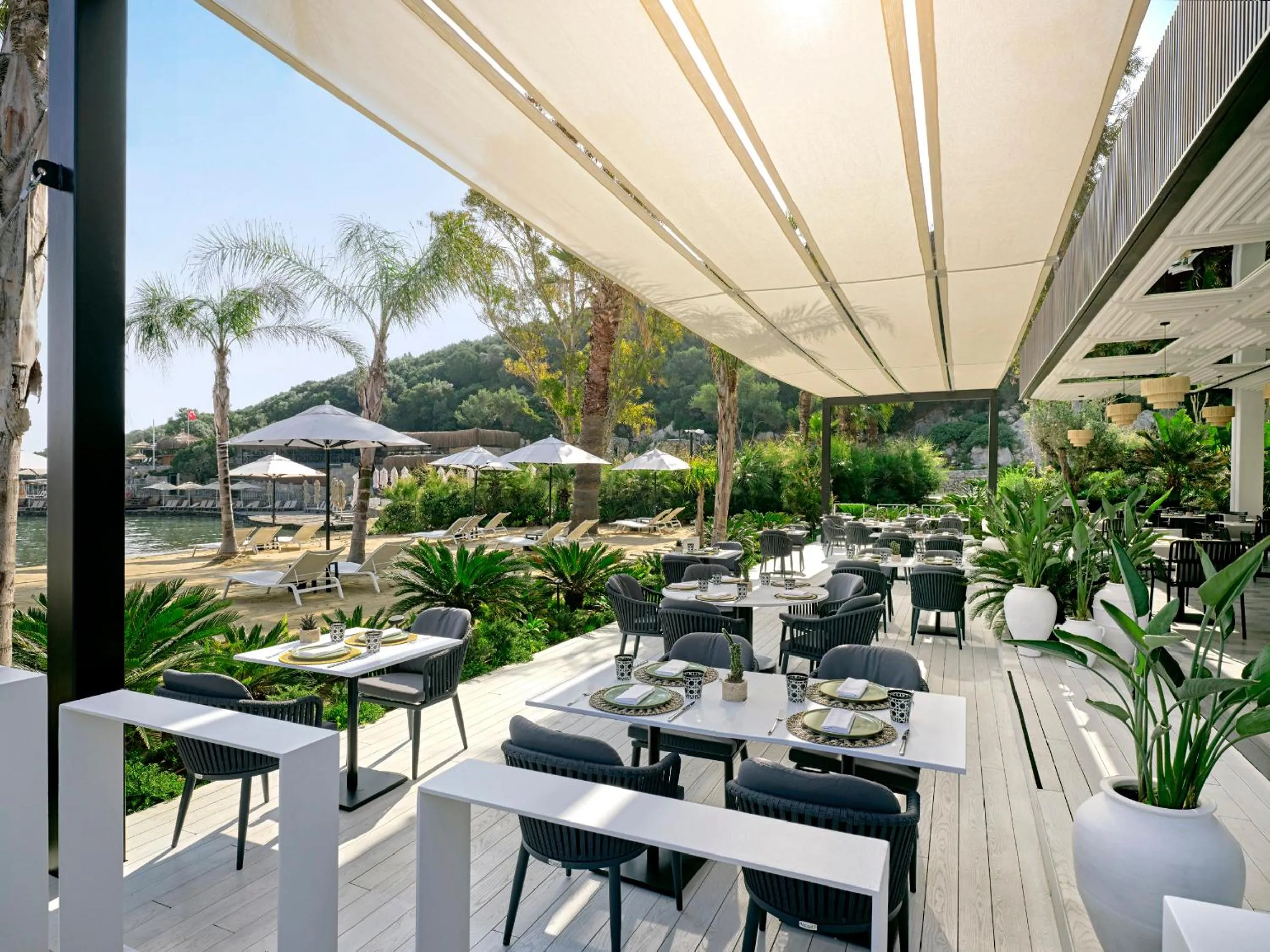 Restaurant/places to eat in Caja by Maxx Royal