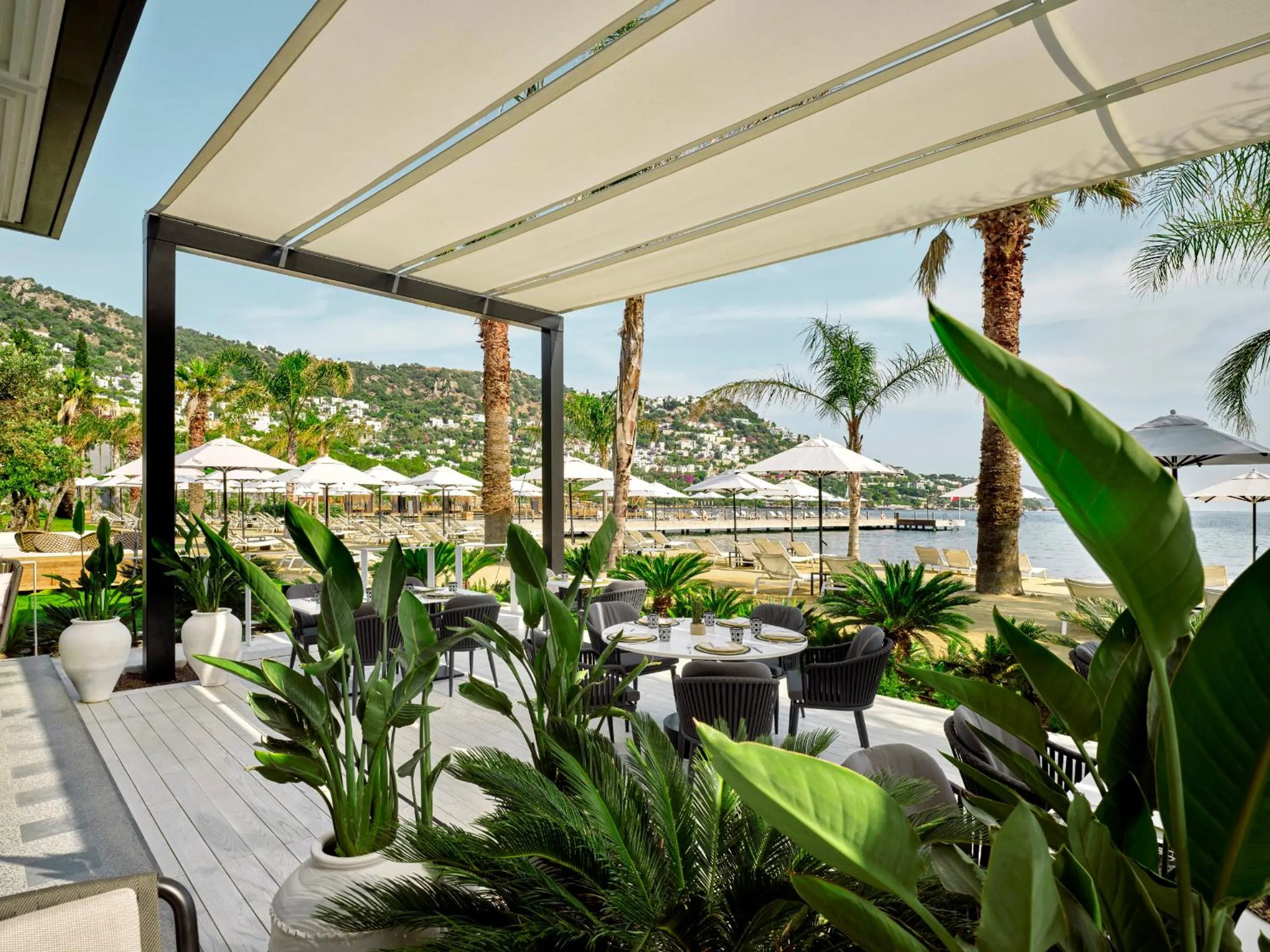 Restaurant/places to eat in Caja by Maxx Royal