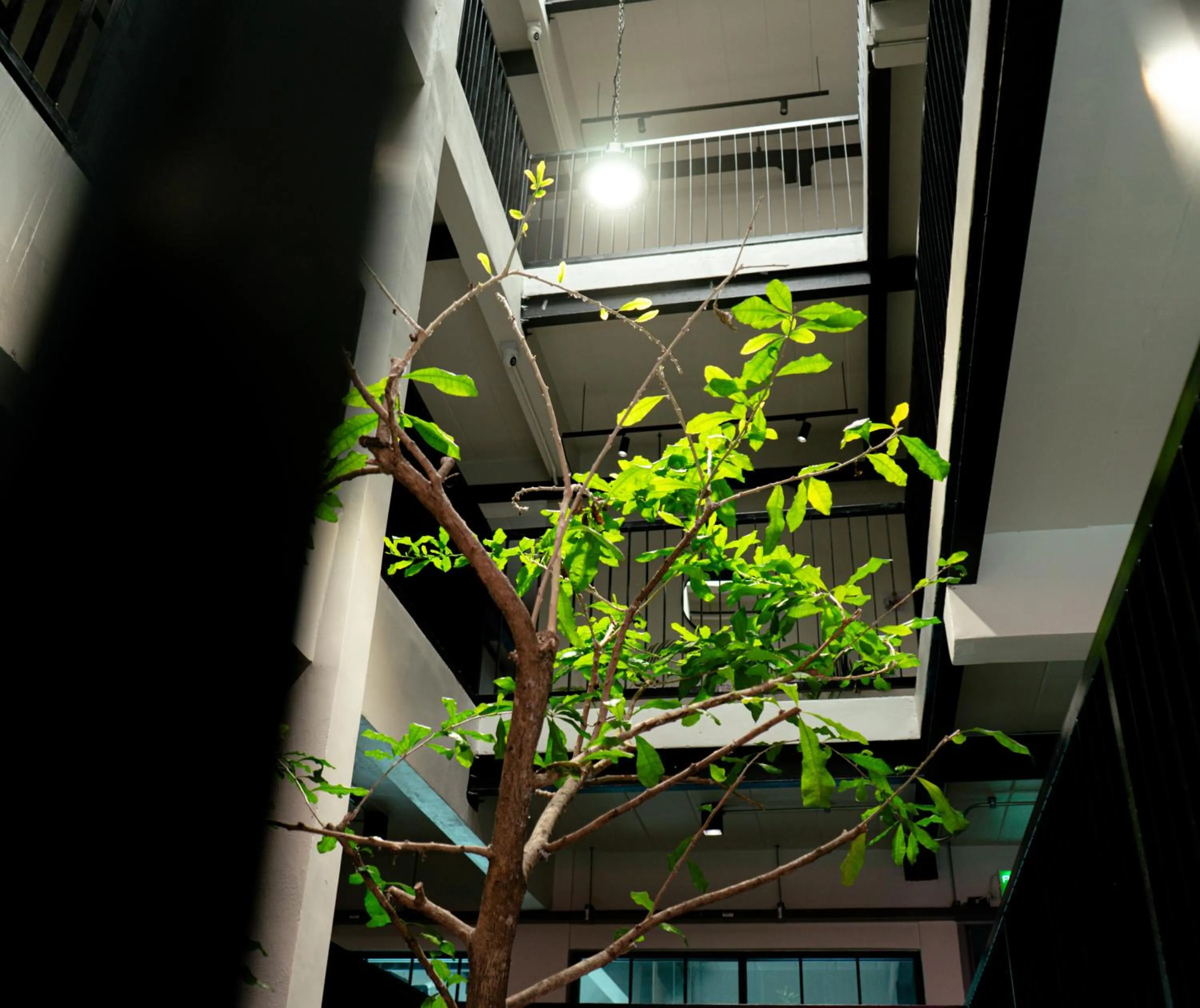 Garden view in V1 boutique hotel