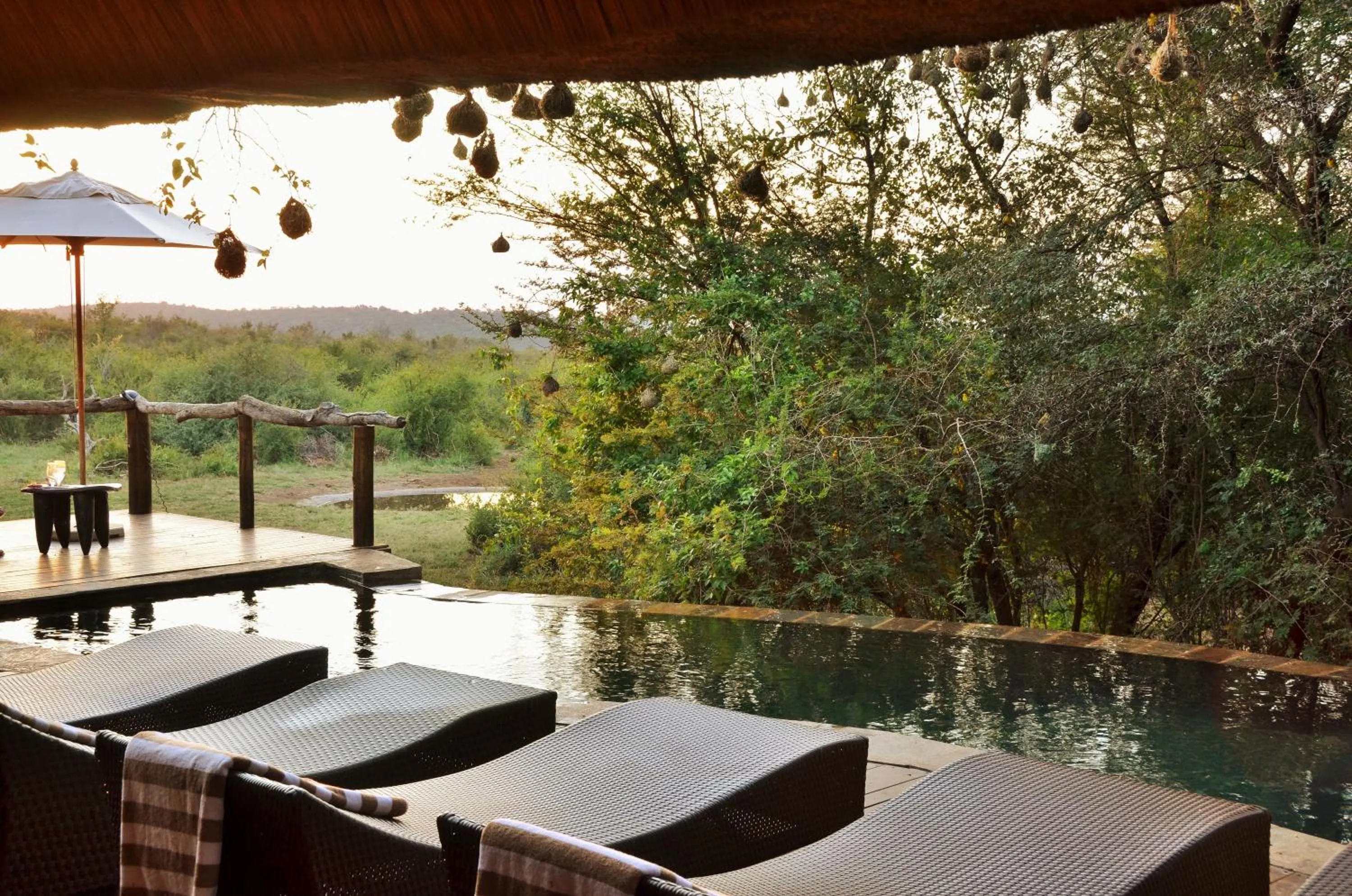 Pool view in Motswiri Private Safari Lodge