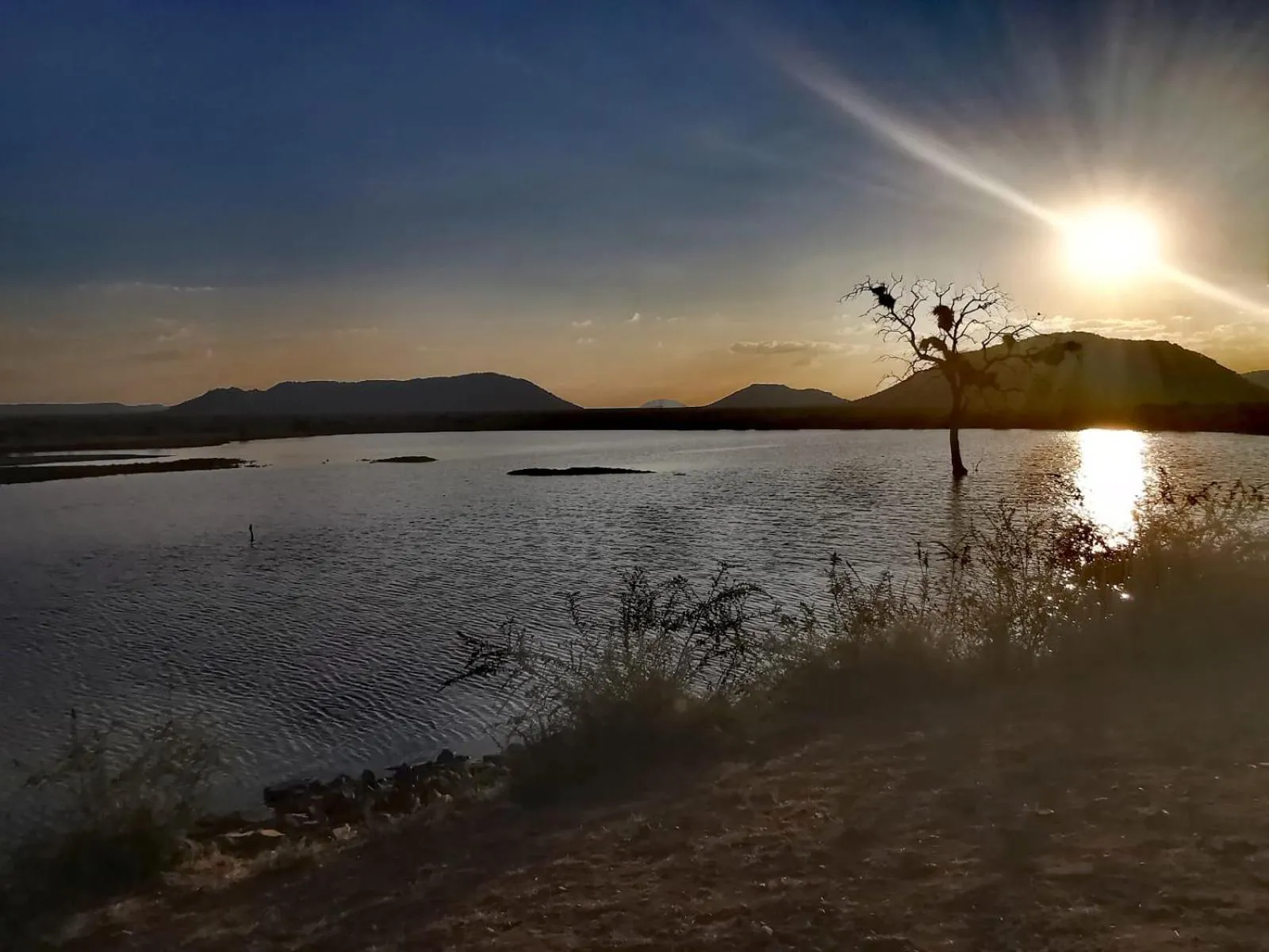 Natural landscape in Motswiri Private Safari Lodge