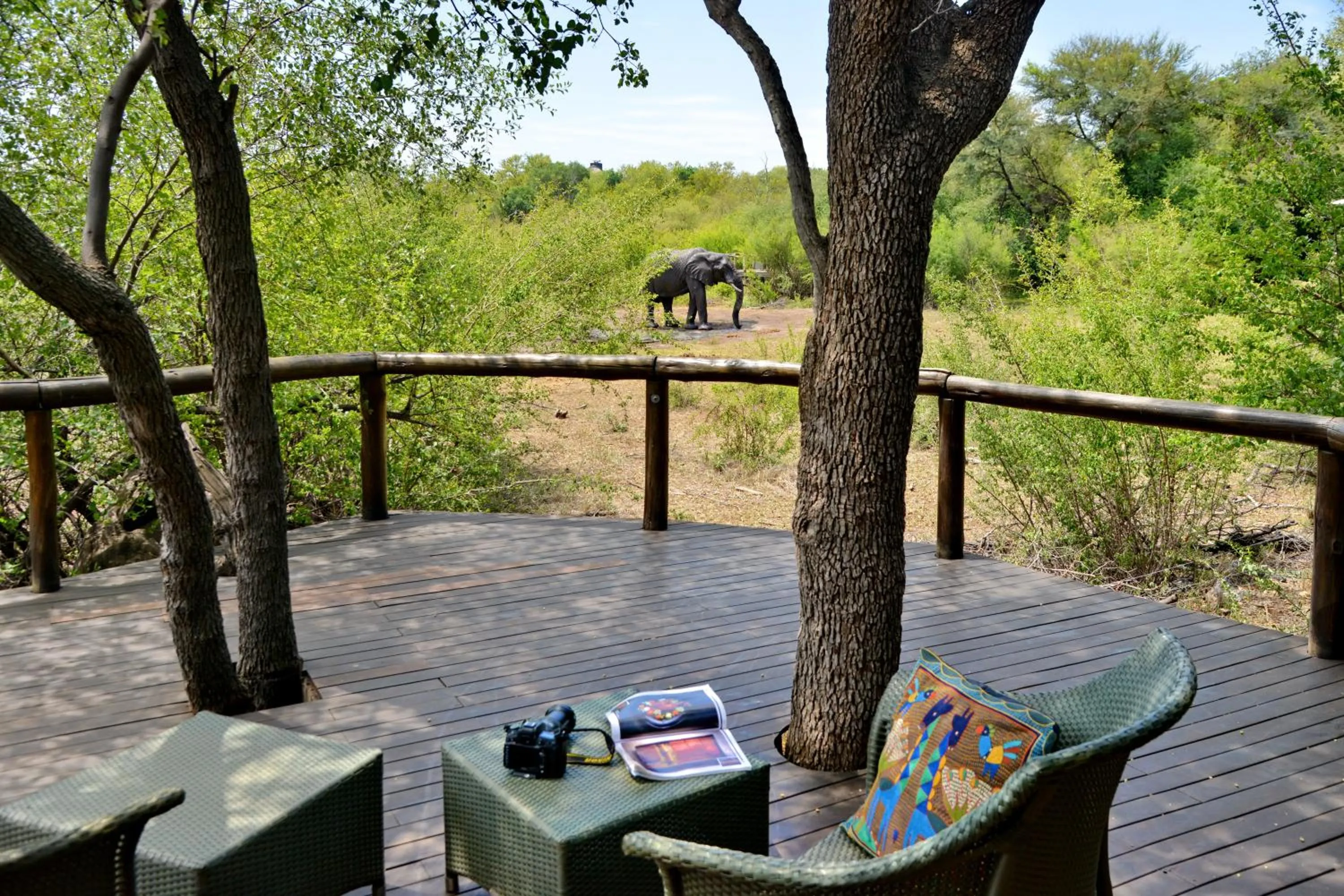 Patio in Motswiri Private Safari Lodge