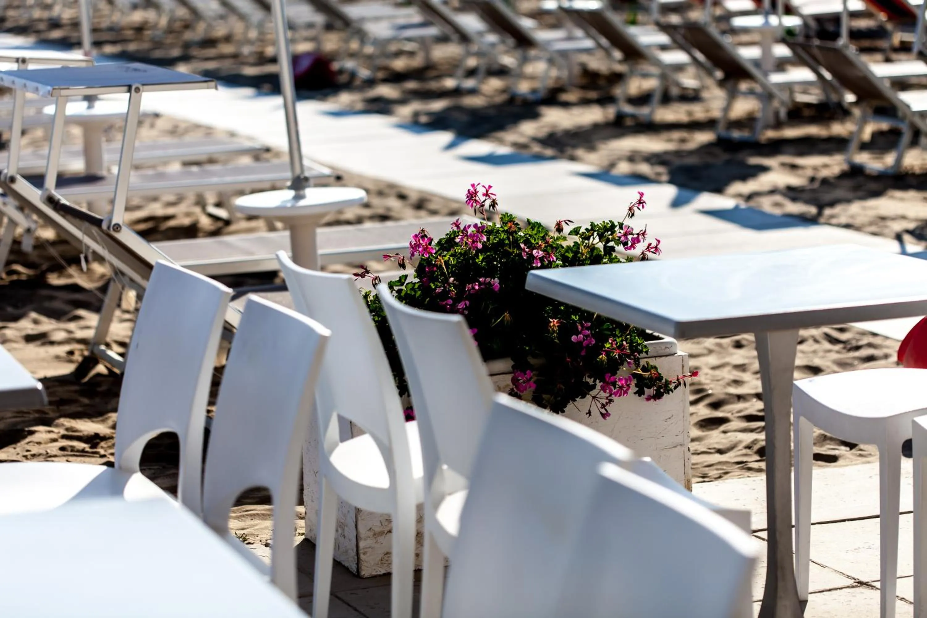 Other in Kristalex Pet Family Hotel