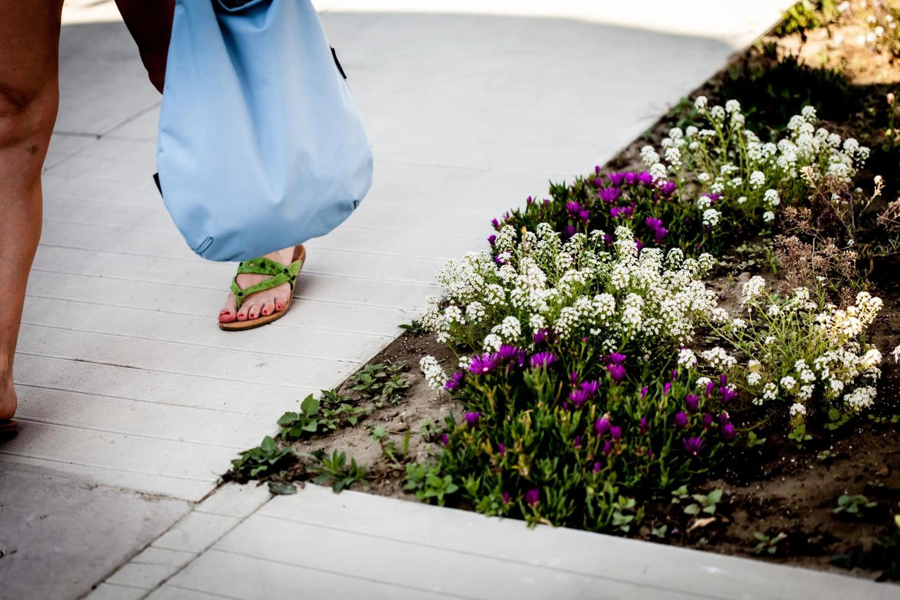 Nearby landmark in Kristalex Pet Family Hotel