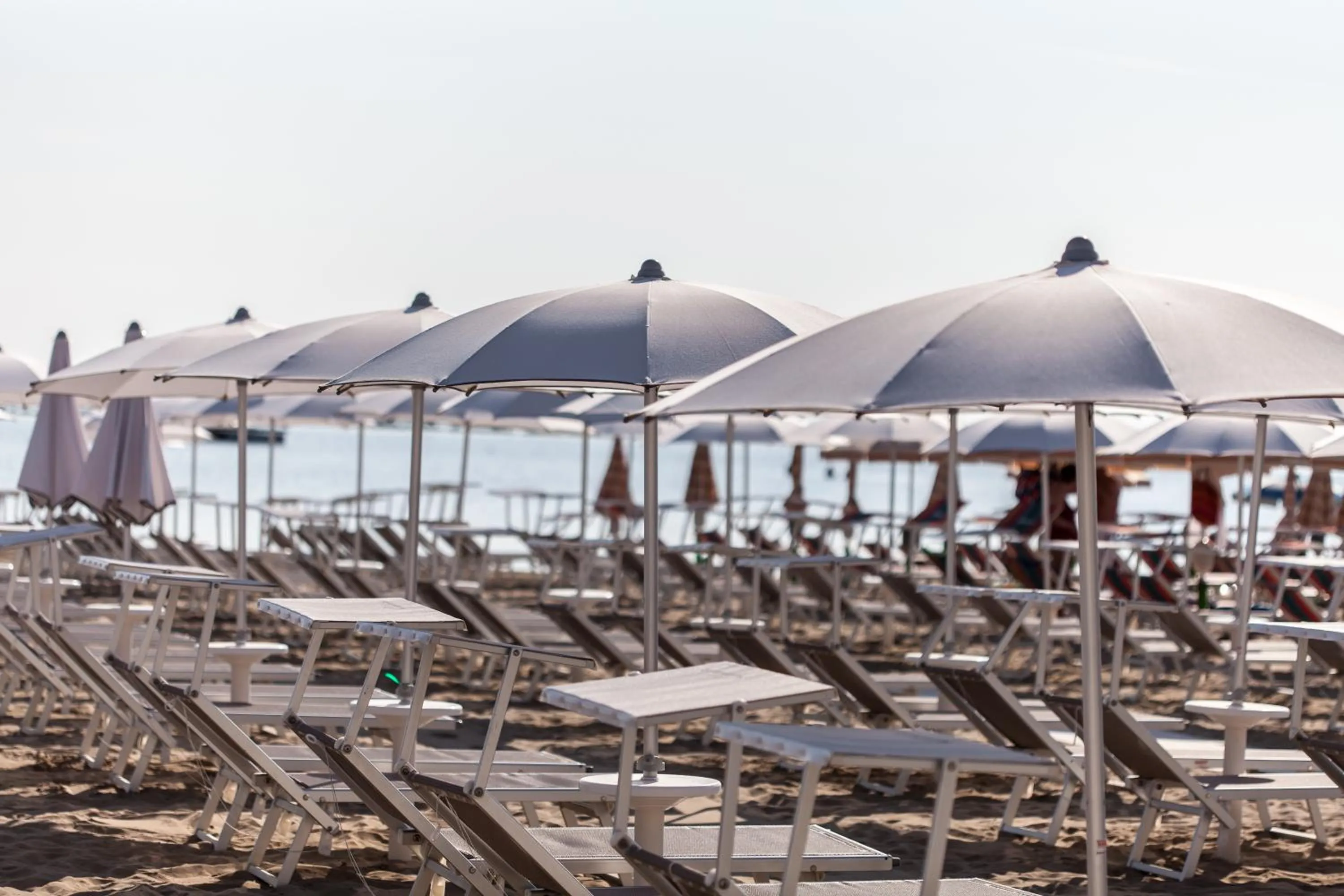 Beach in Kristalex Pet Family Hotel