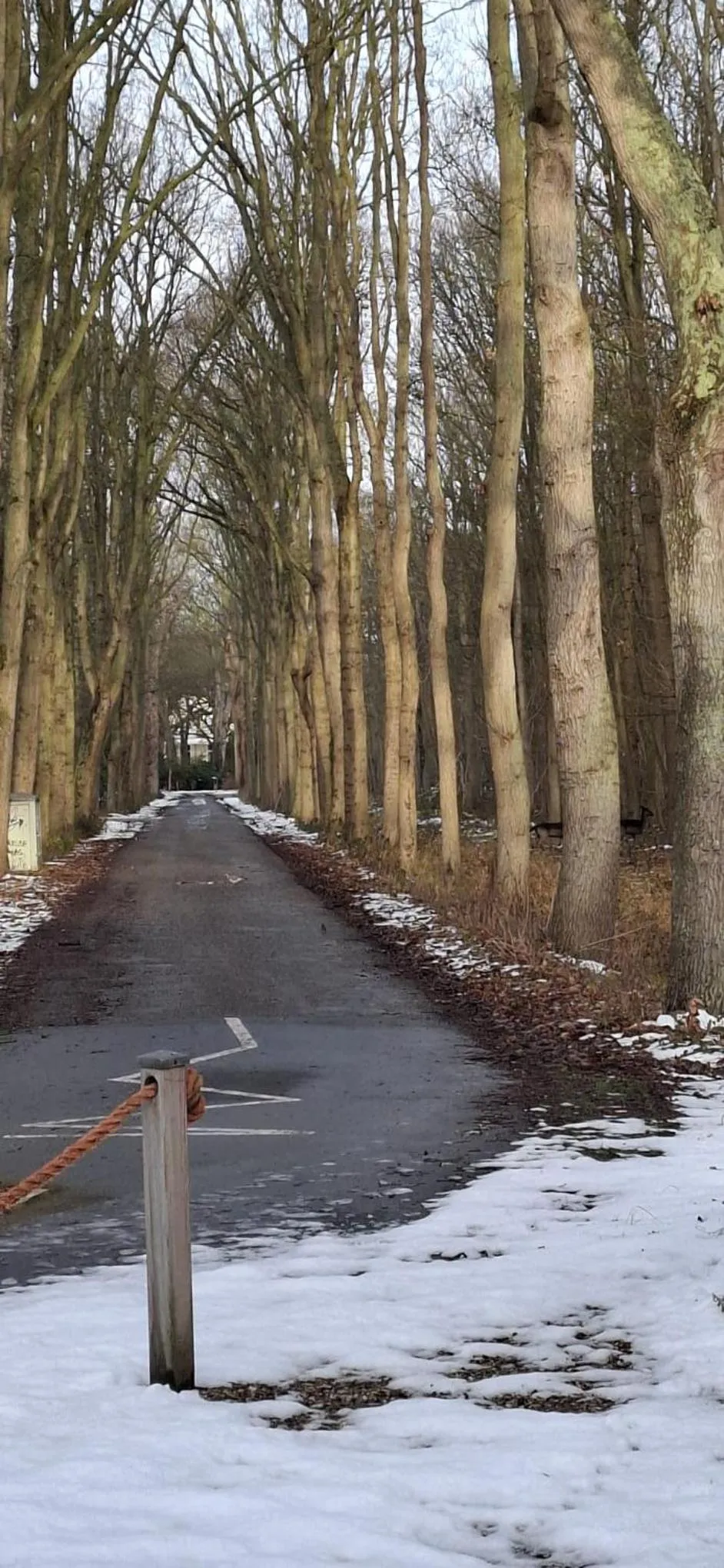 Winter in Hotel Randduin