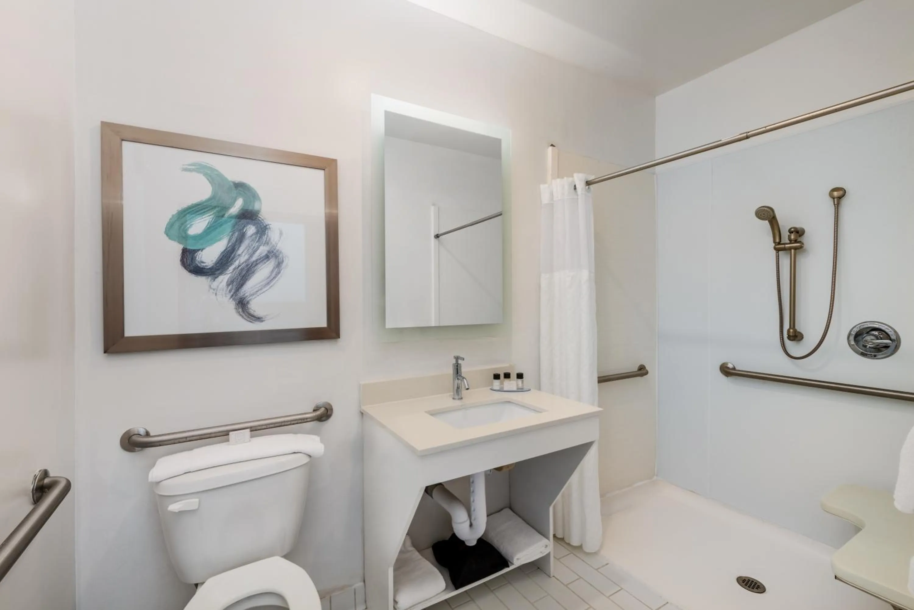 Toilet in TRYP by Wyndham Tallahassee North I-10 Capital Circle