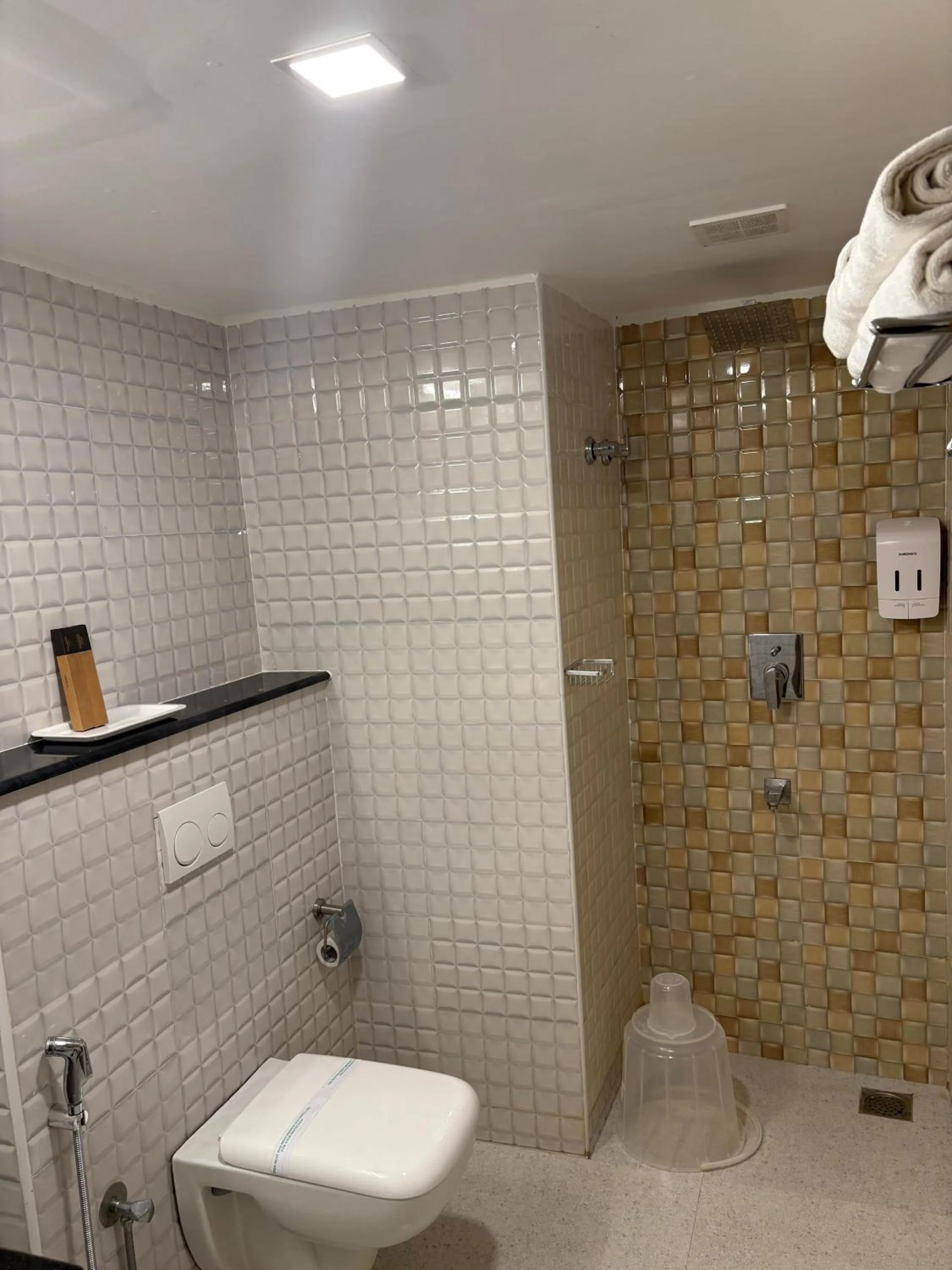 Shower in Hotel Mangala Temple View