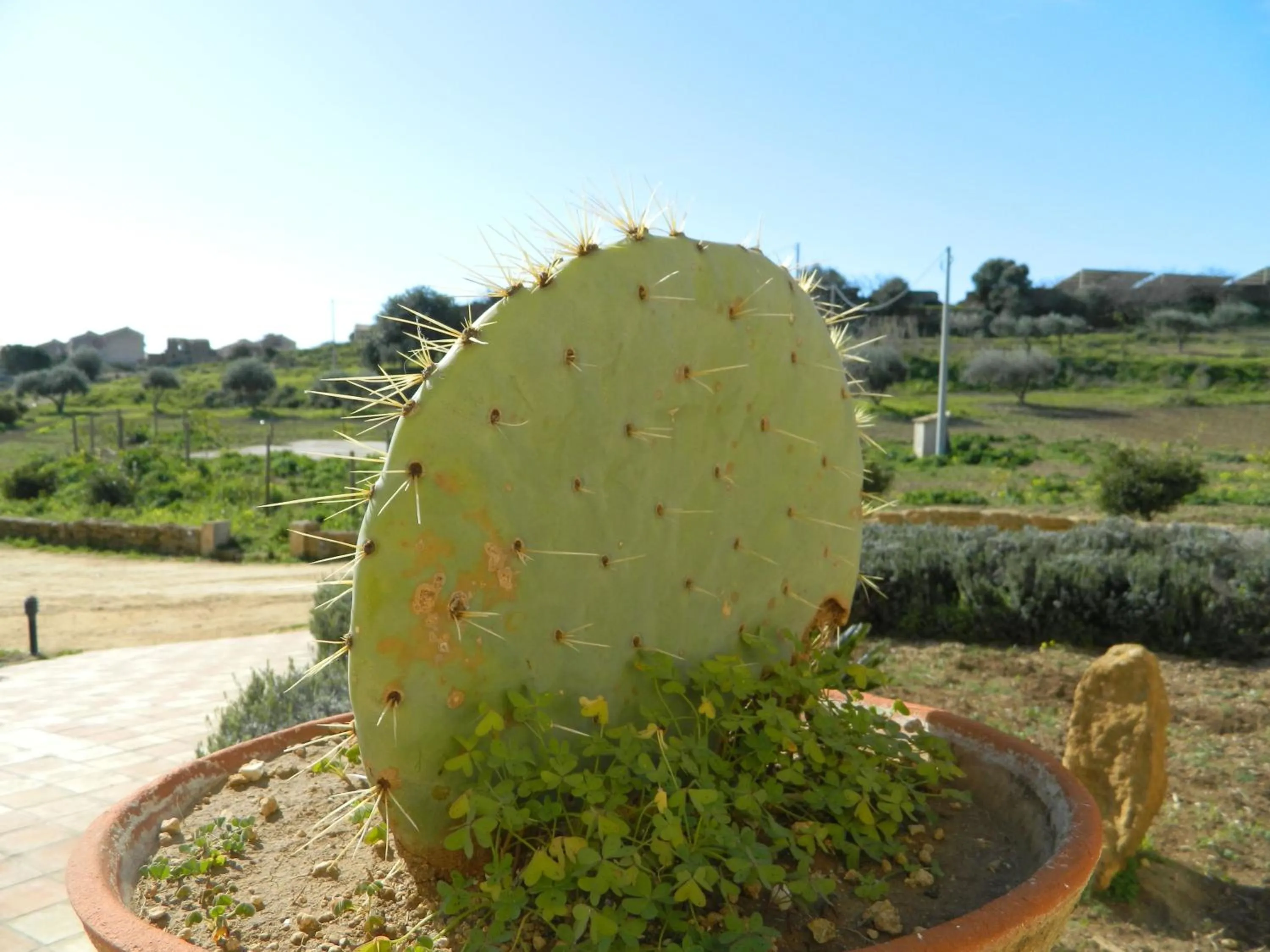 Garden view in Agriturismo Passo dei Briganti