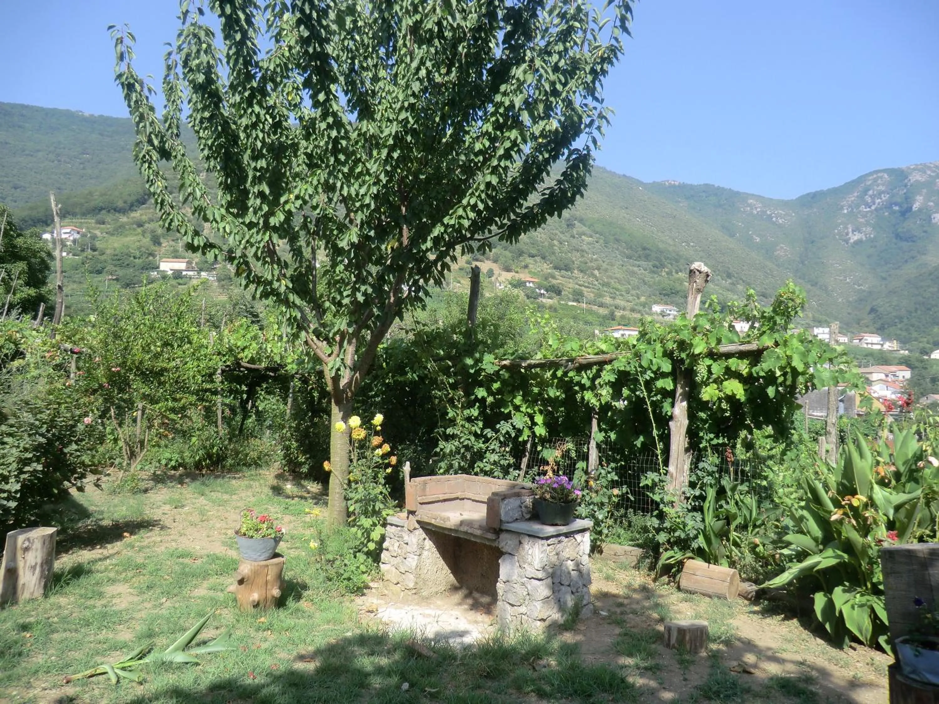 Mountain view in Agriturismo Mare e Monti