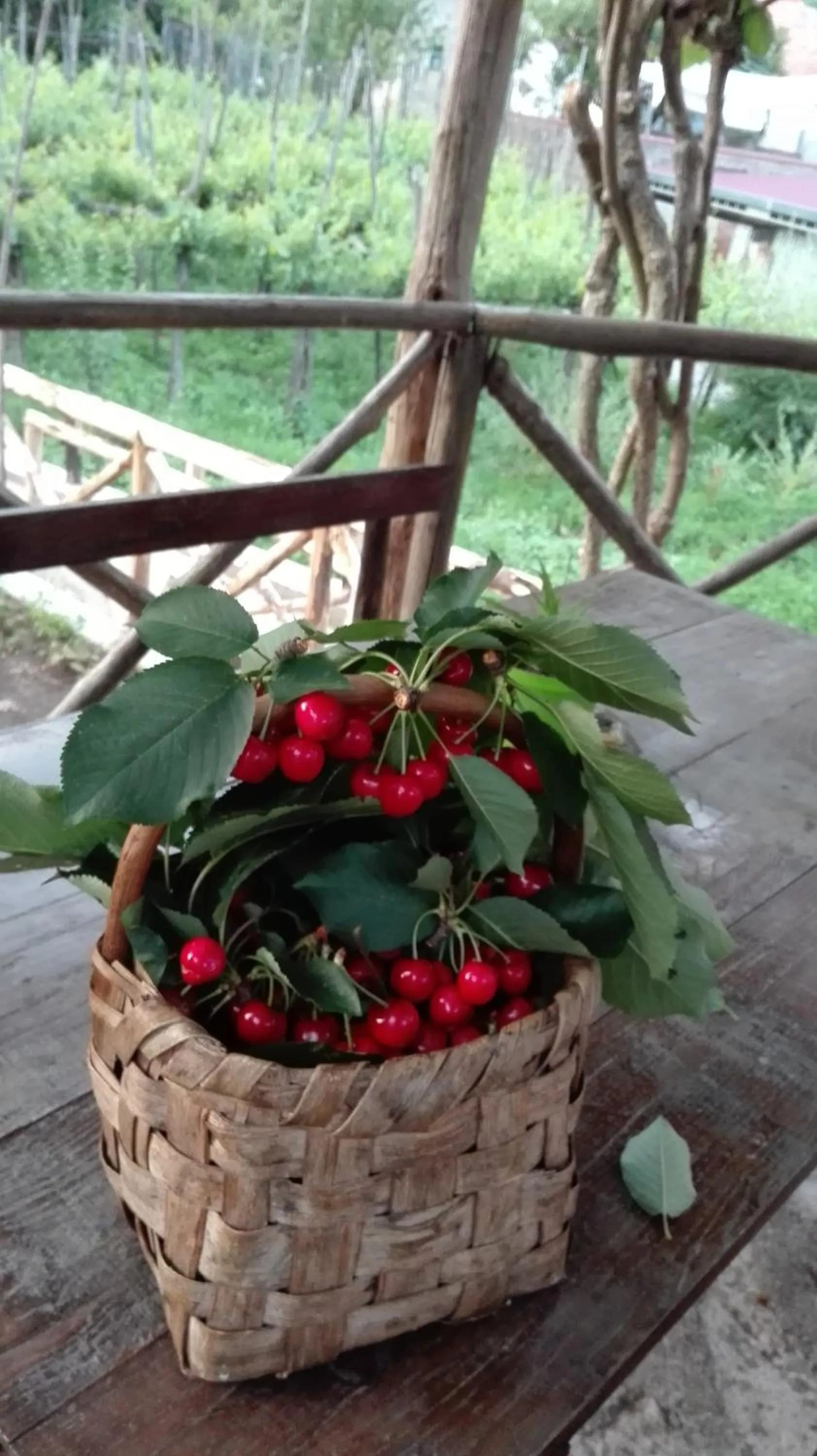 Food close-up in Agriturismo Mare e Monti