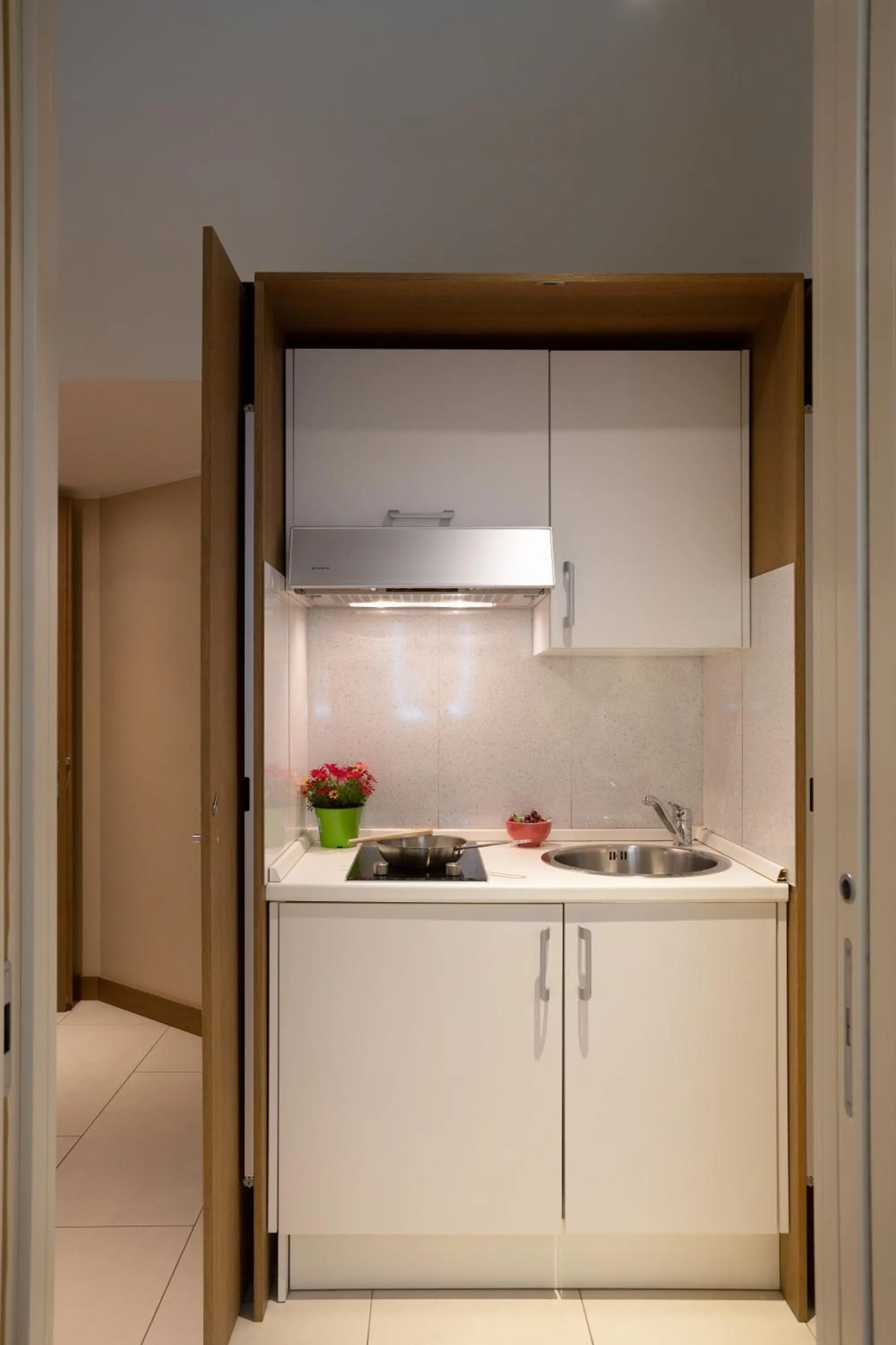 Kitchen or kitchenette in La Castellana Loft Hotel