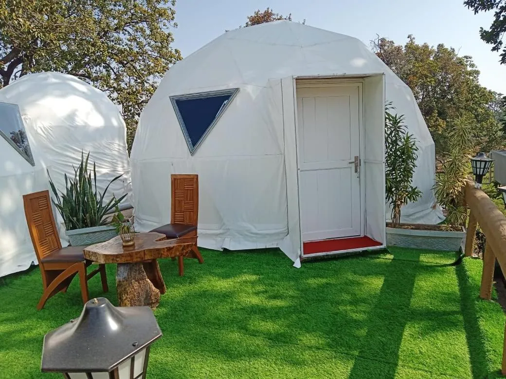 Natural landscape in Olive