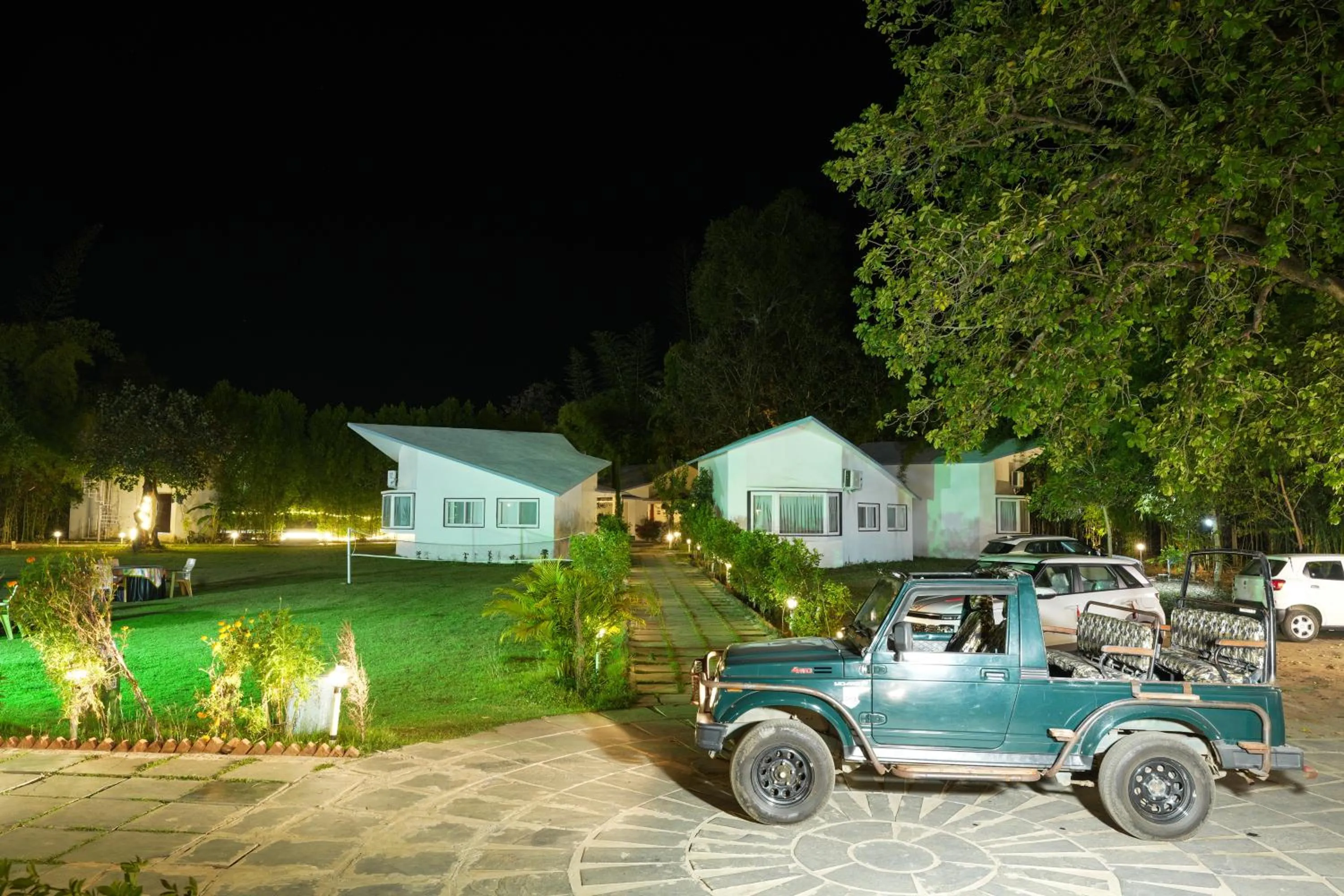 Night in Olive