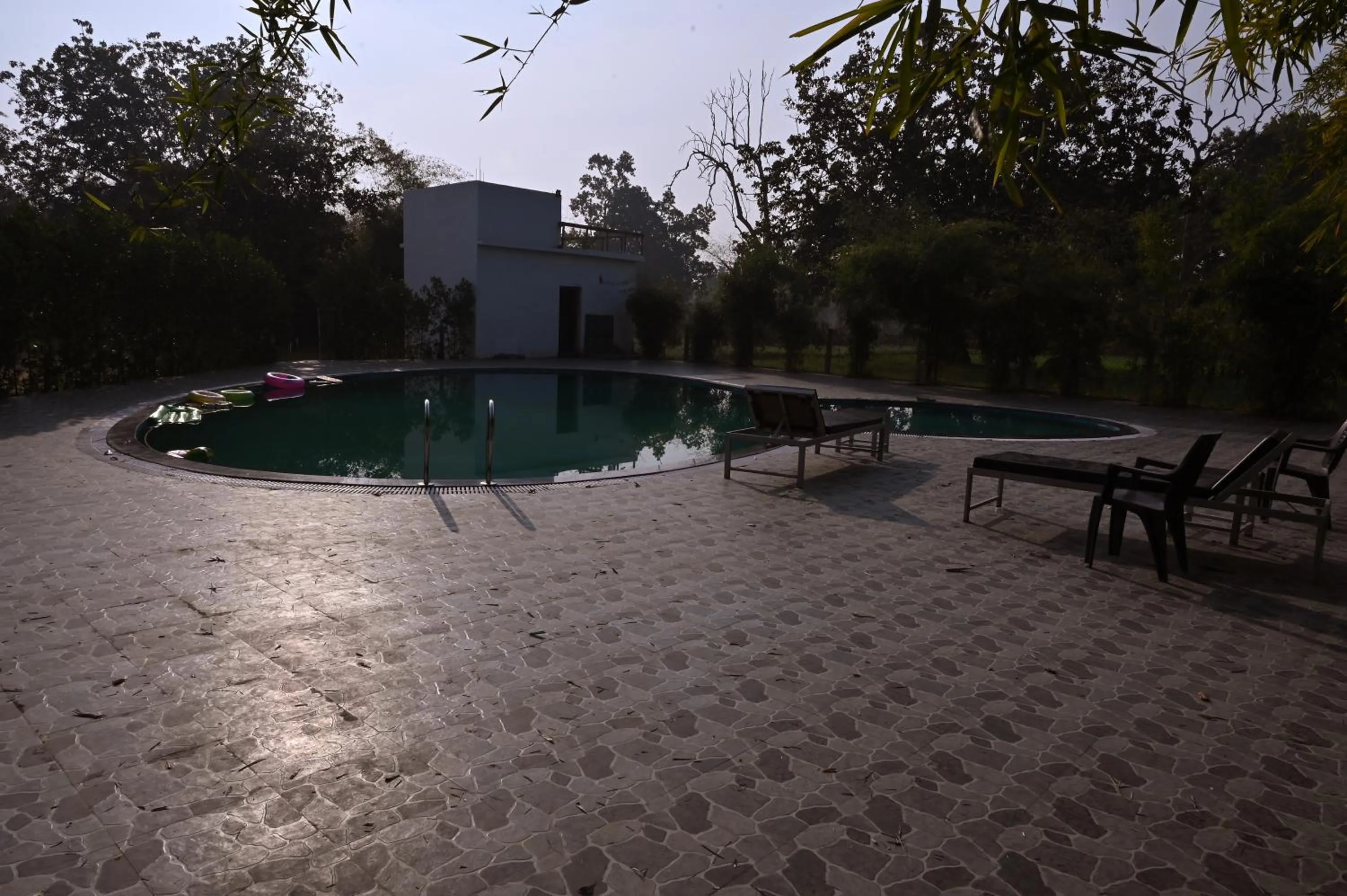 Swimming pool in Olive