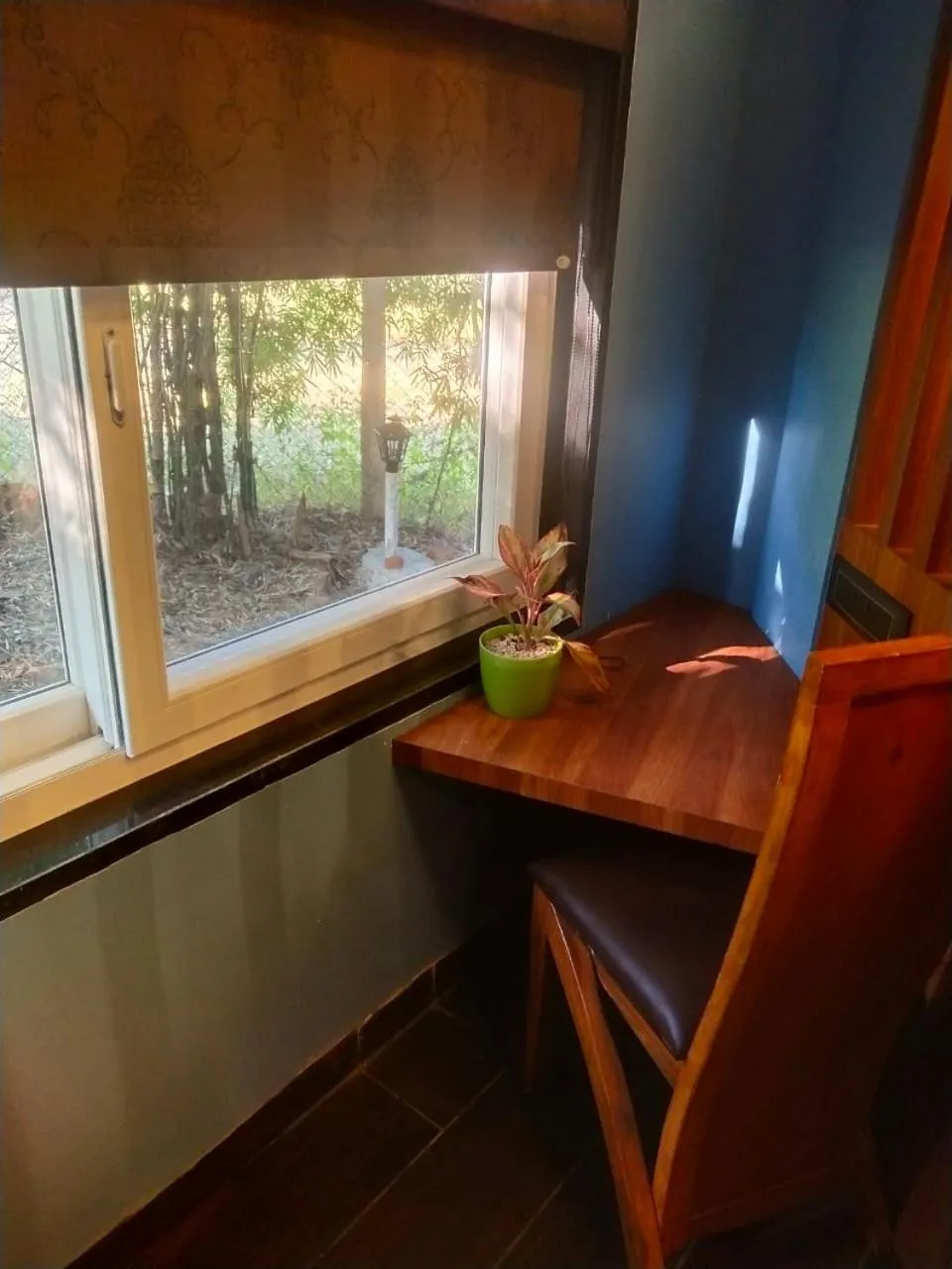 Garden view in Olive