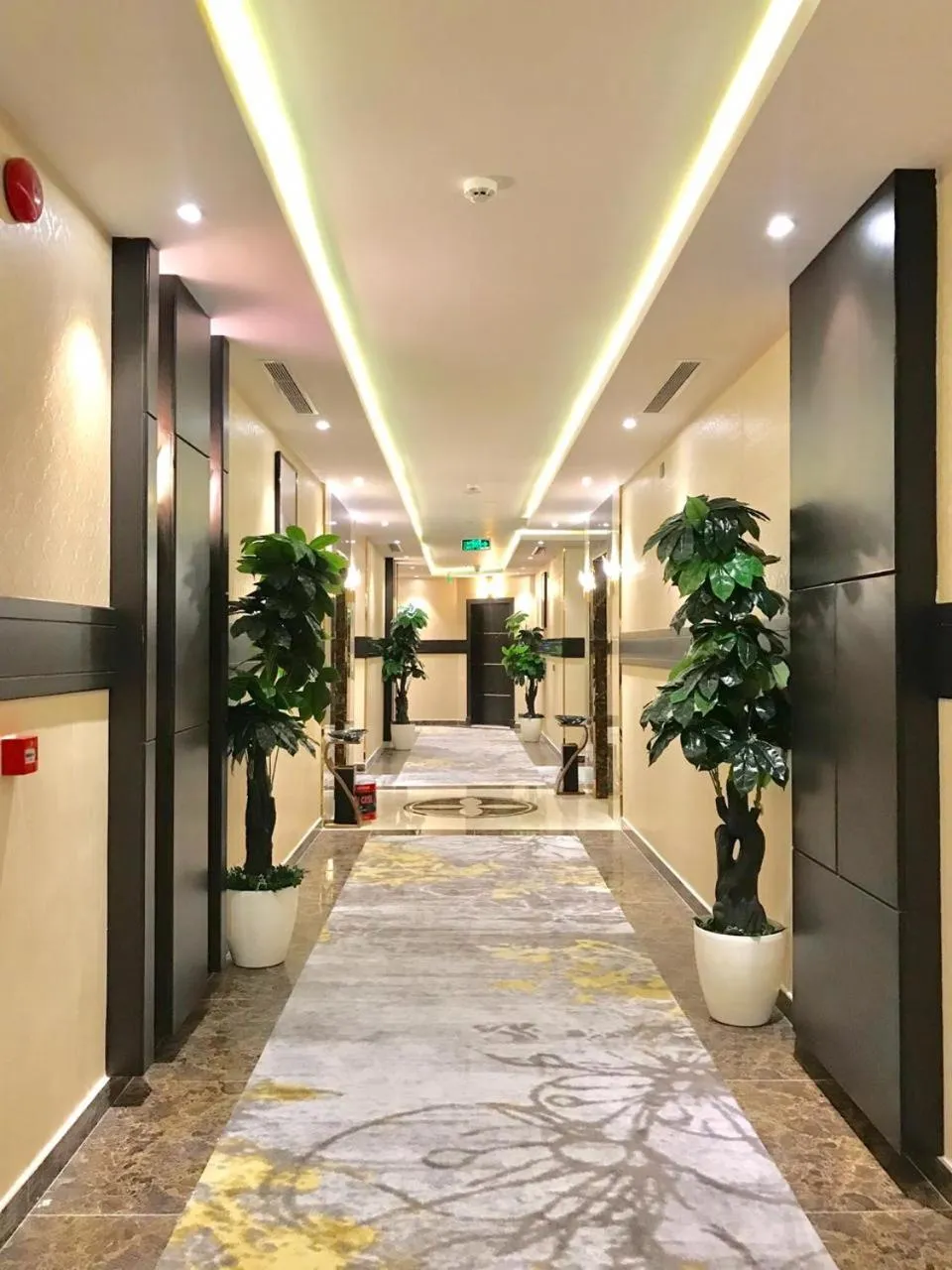 فندق الفاو بلازا