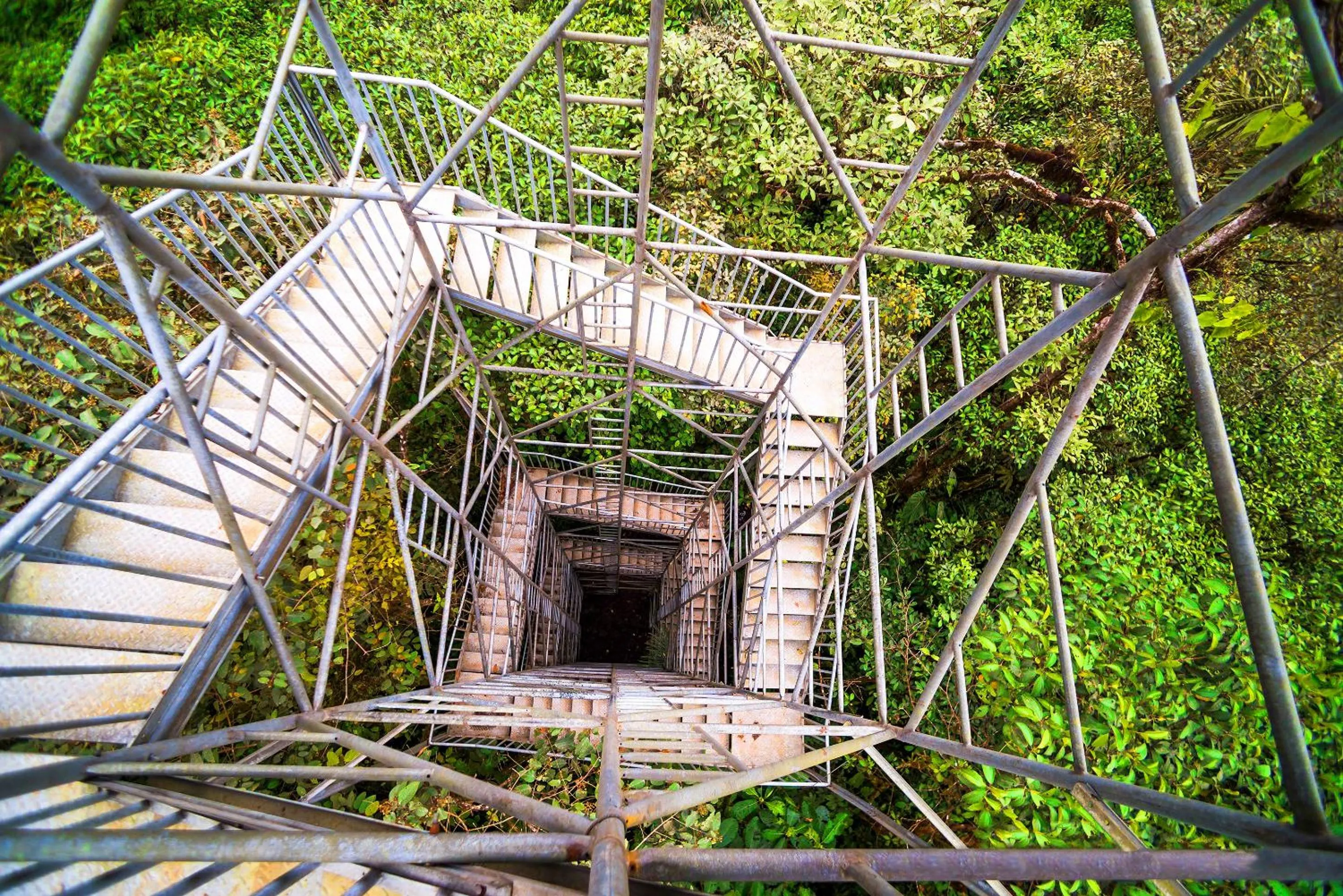 Off site in Mashpi Lodge