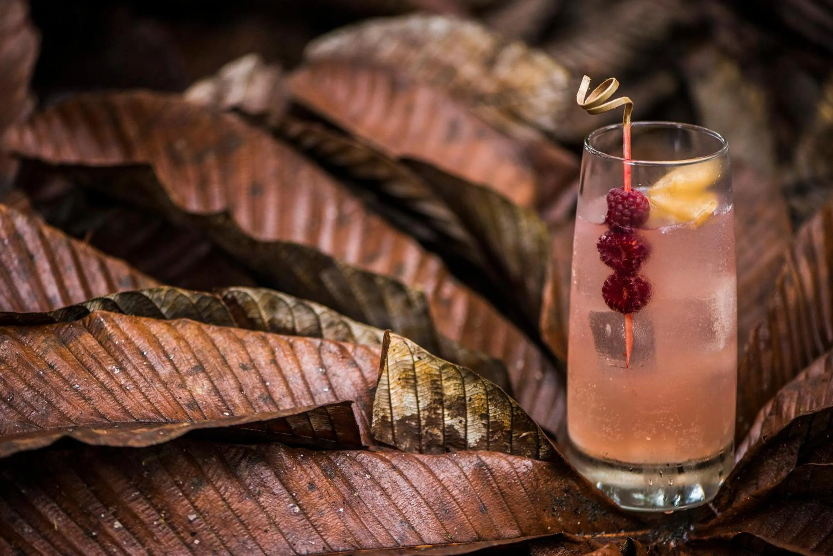 Alcoholic drinks in Mashpi Lodge