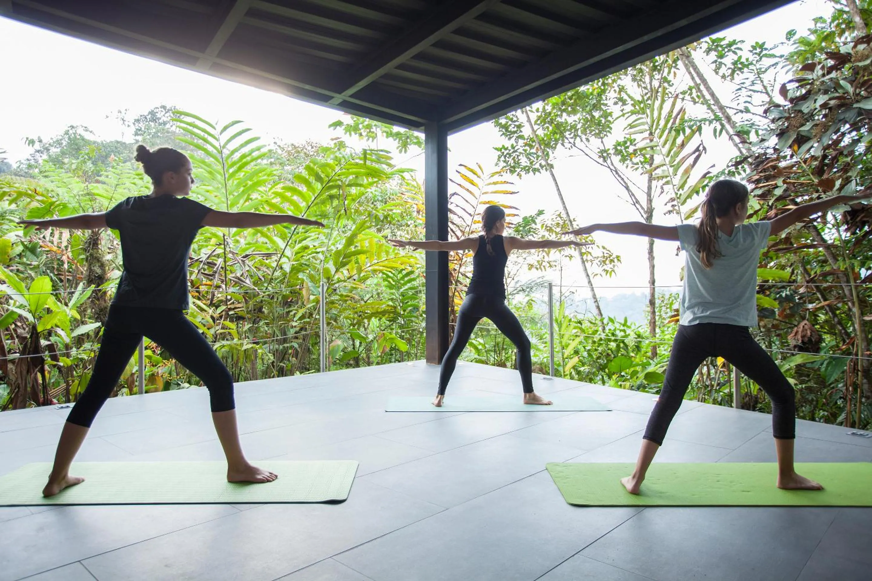 Area and facilities in Mashpi Lodge