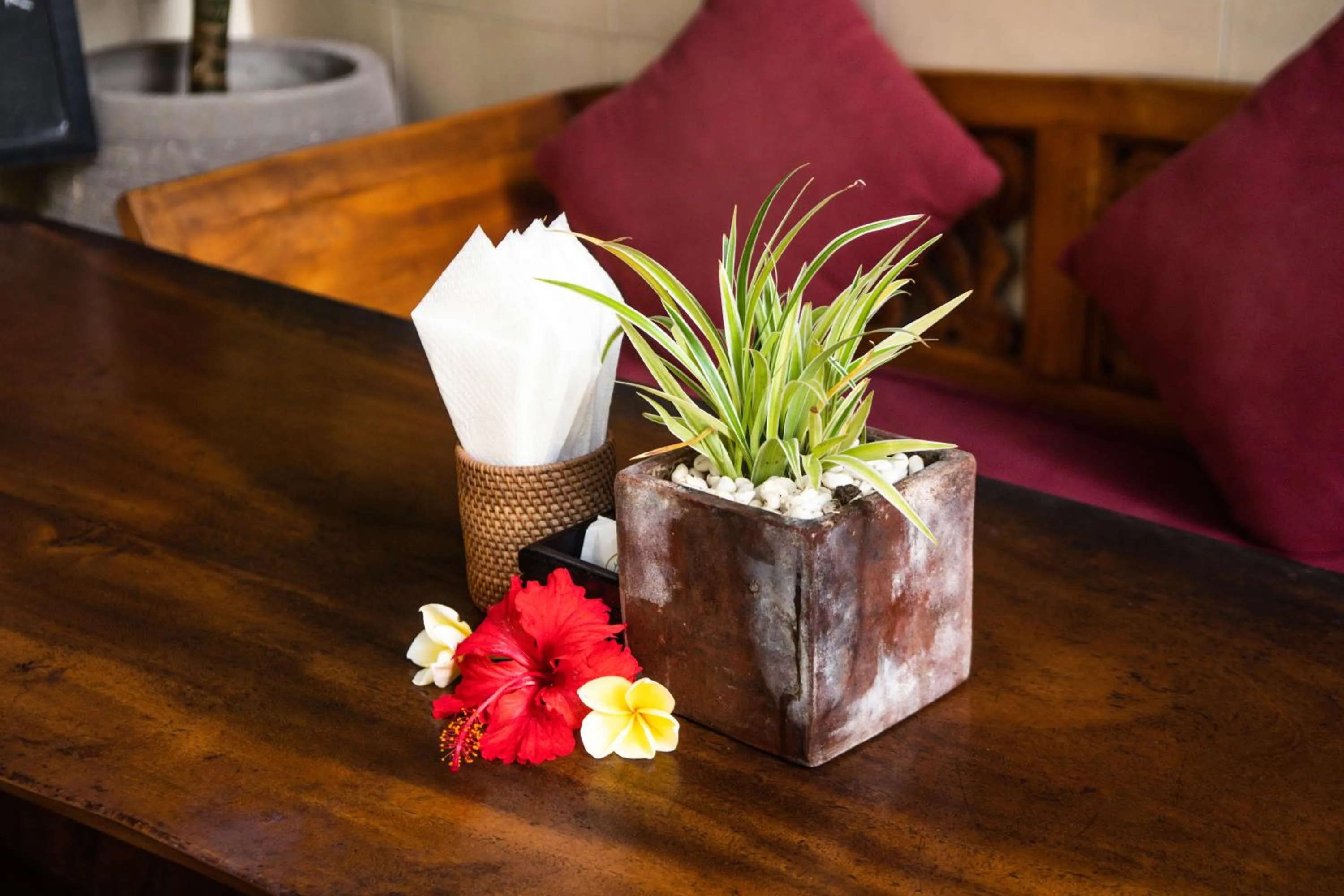 Restaurant/places to eat in Alam Terrace Cottages