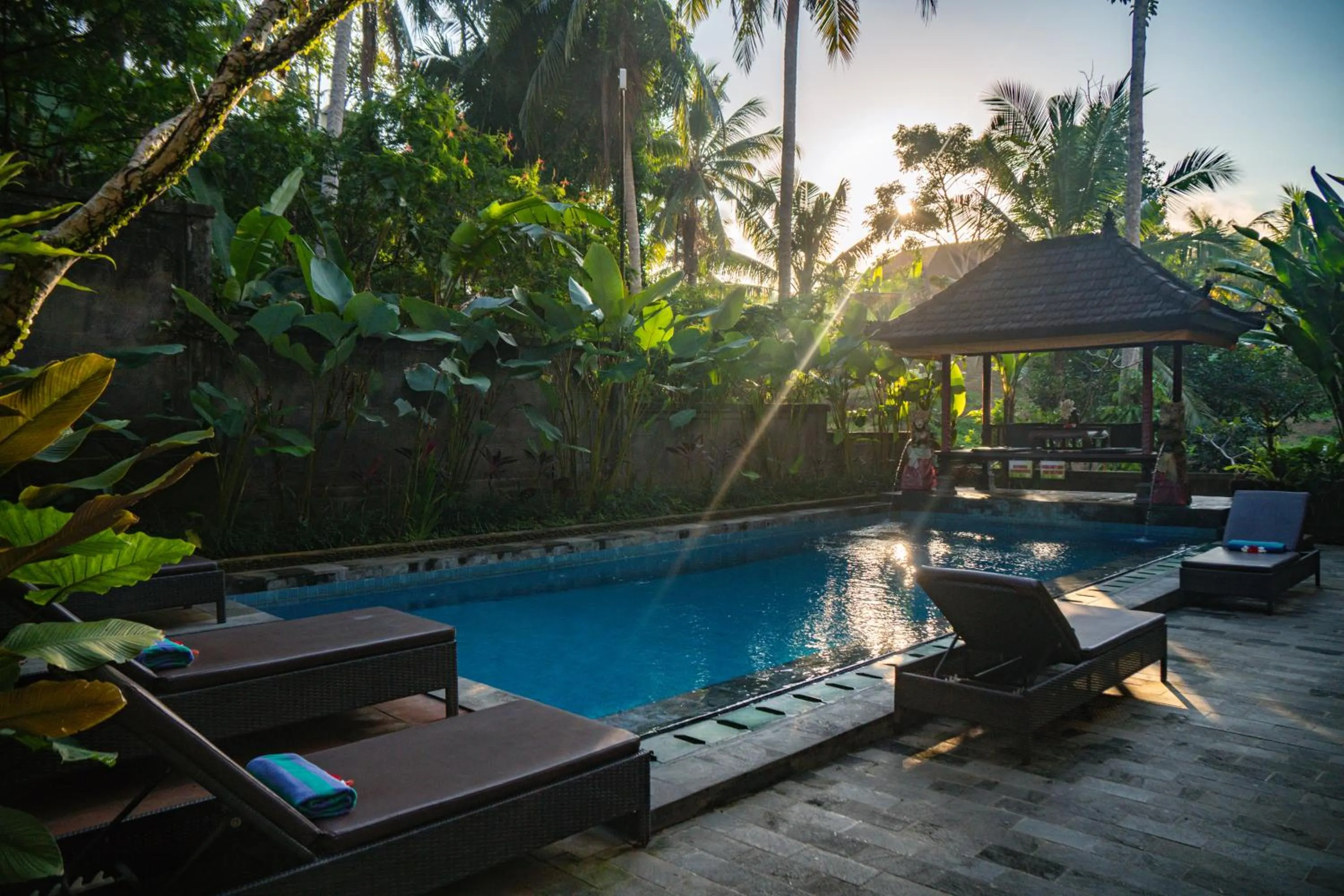 Garden in Alam Terrace Cottages