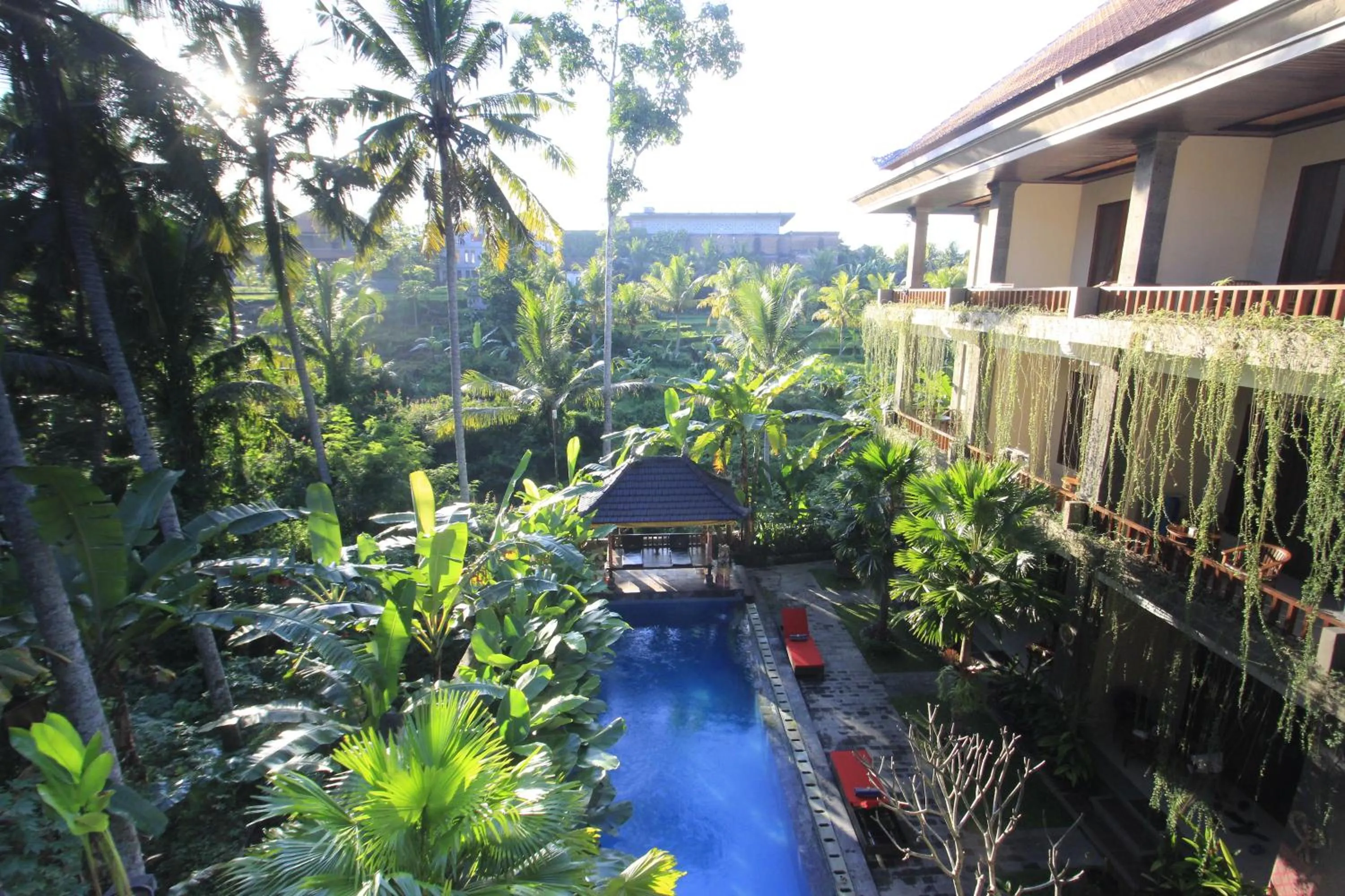 Swimming pool in Alam Terrace Cottages
