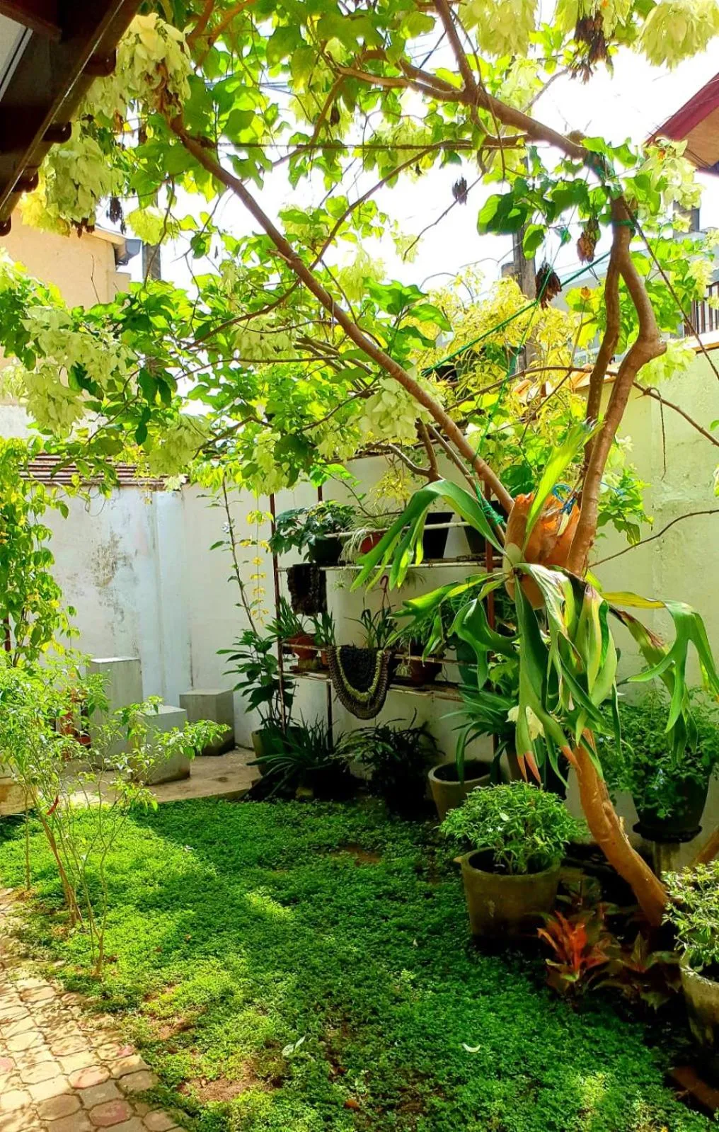 Garden view in Guesthouse Kind and Love