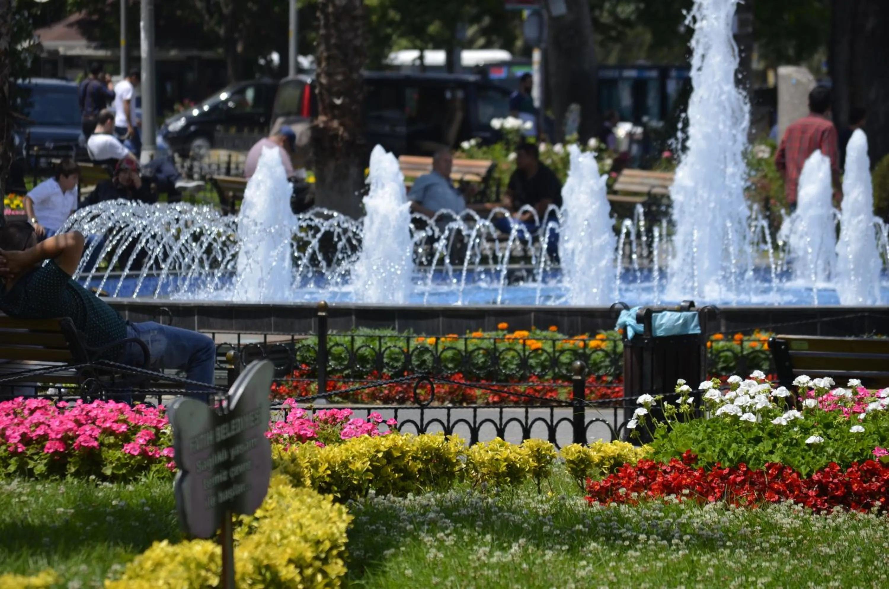 Natural landscape in Hotel Ekol
