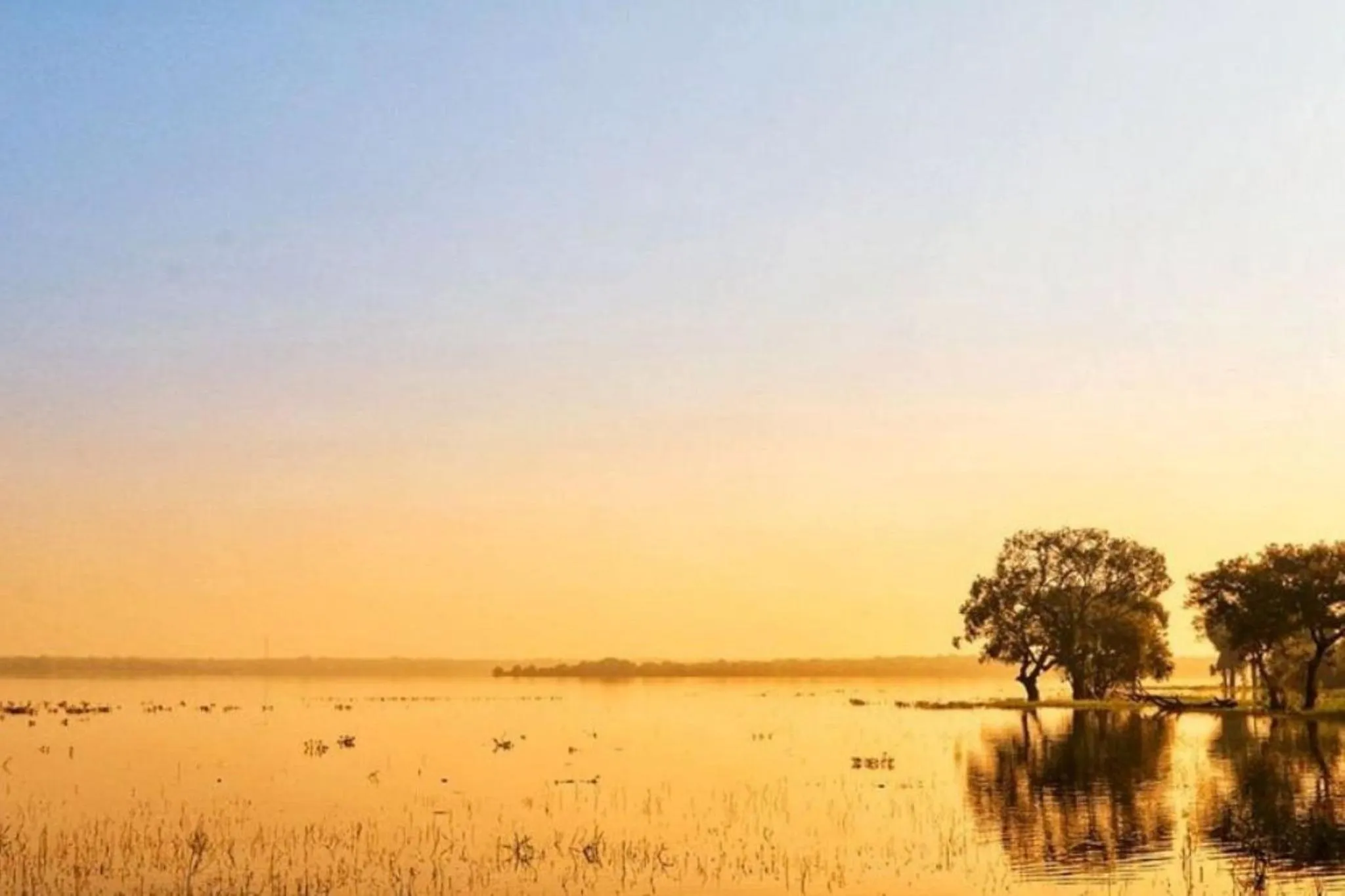 Lake view in Miridiya Lake Resort