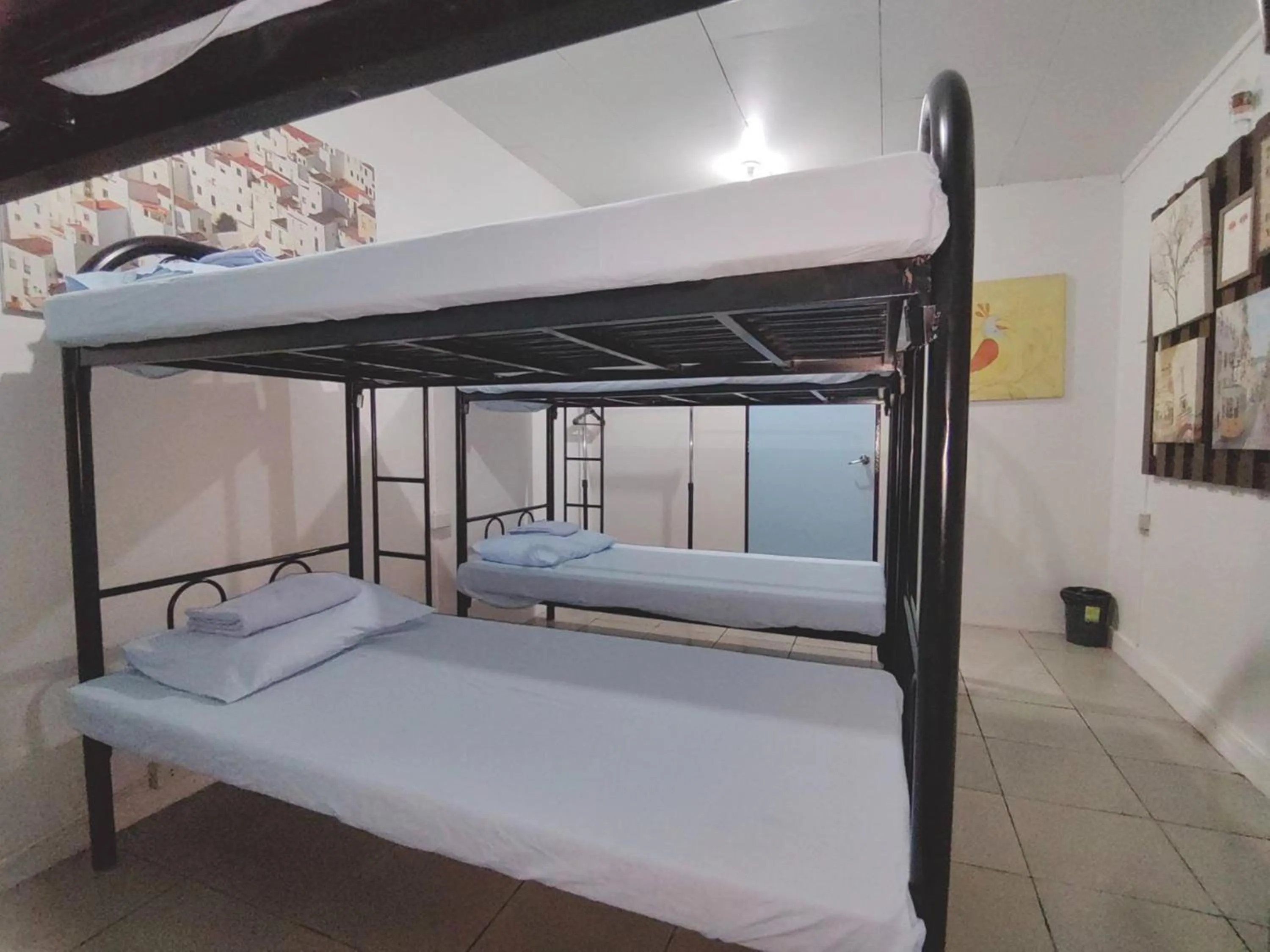 Photo of the whole room, Bed in Nappers Hostel
