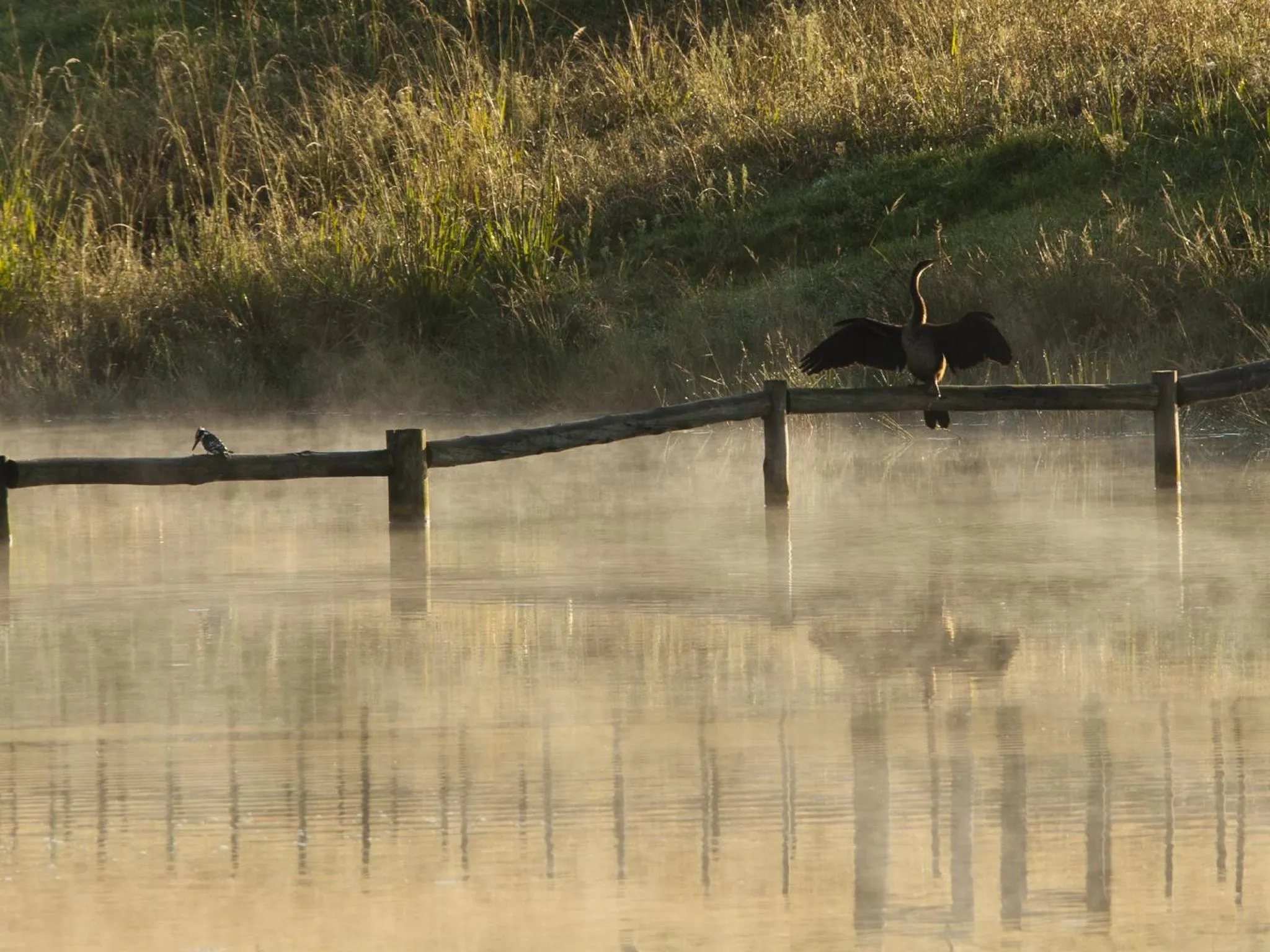 Lake view in Whispering Waters